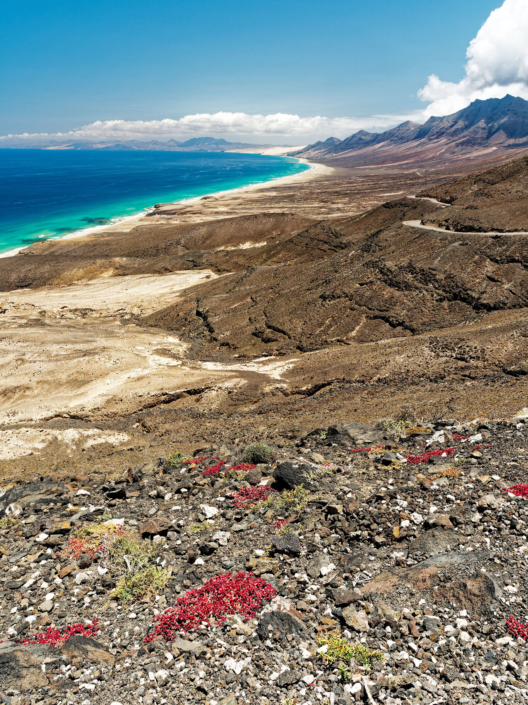 Fuerteventura XXIII
