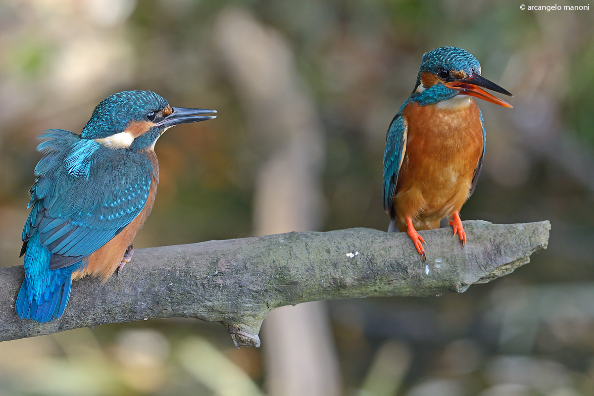 Mamma martina fa scuola ai nuovi nati