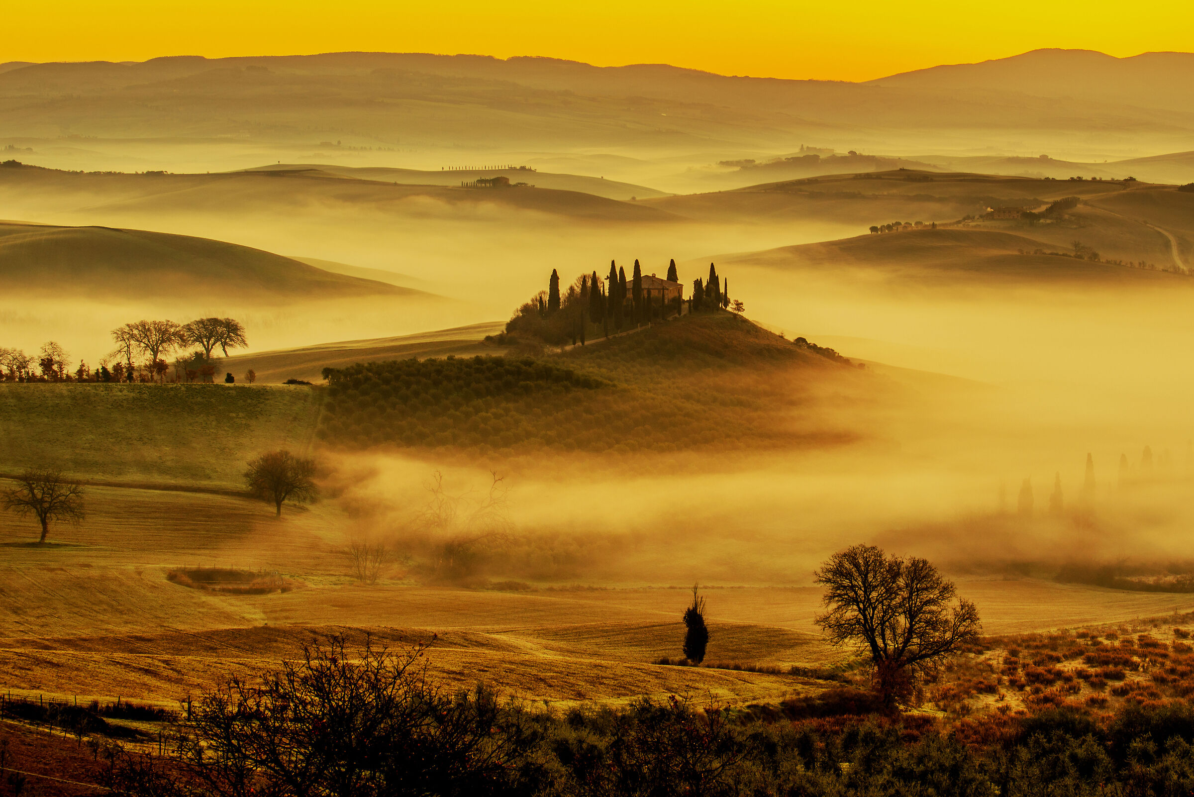 A sweet awakening...