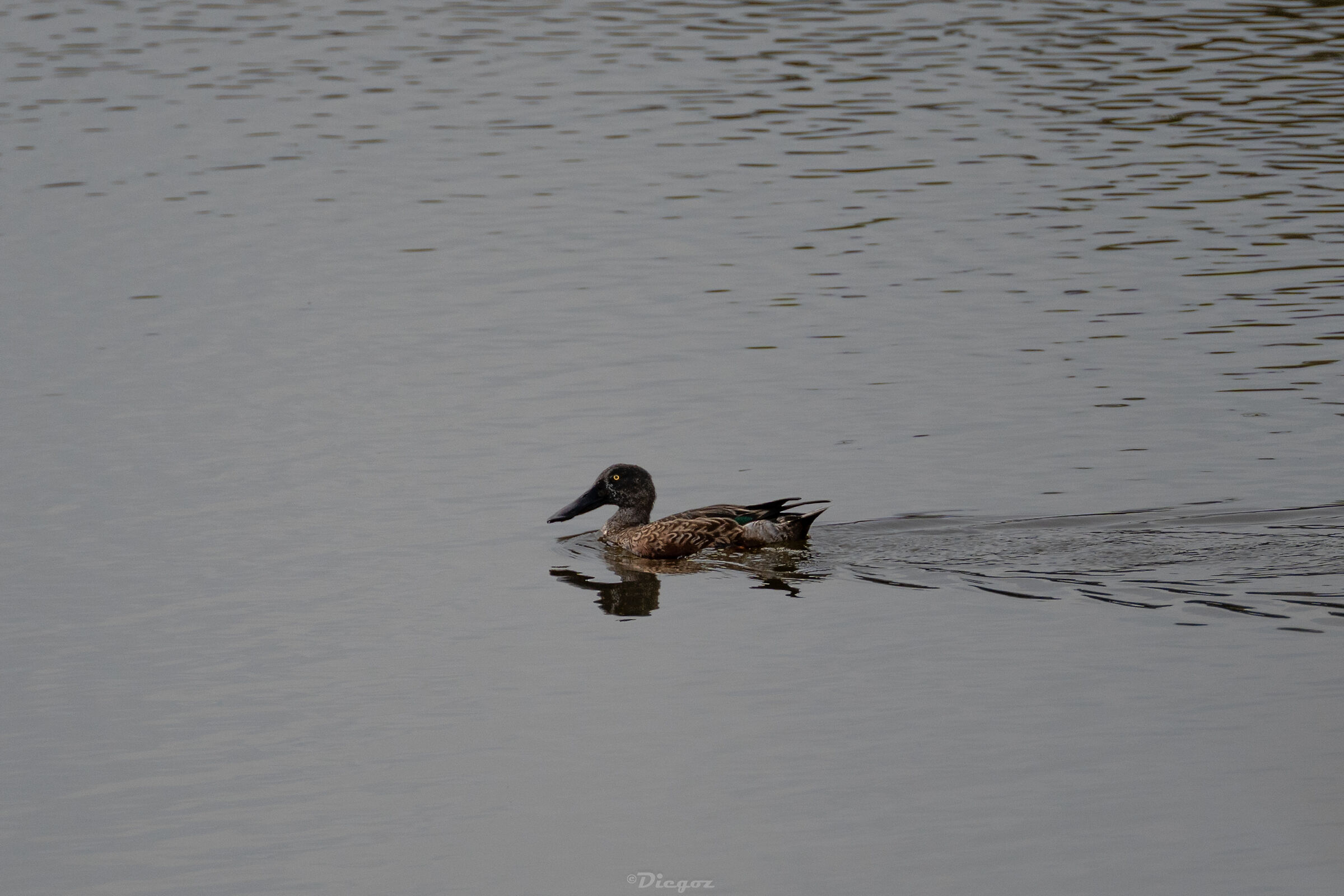 Untitled Photo