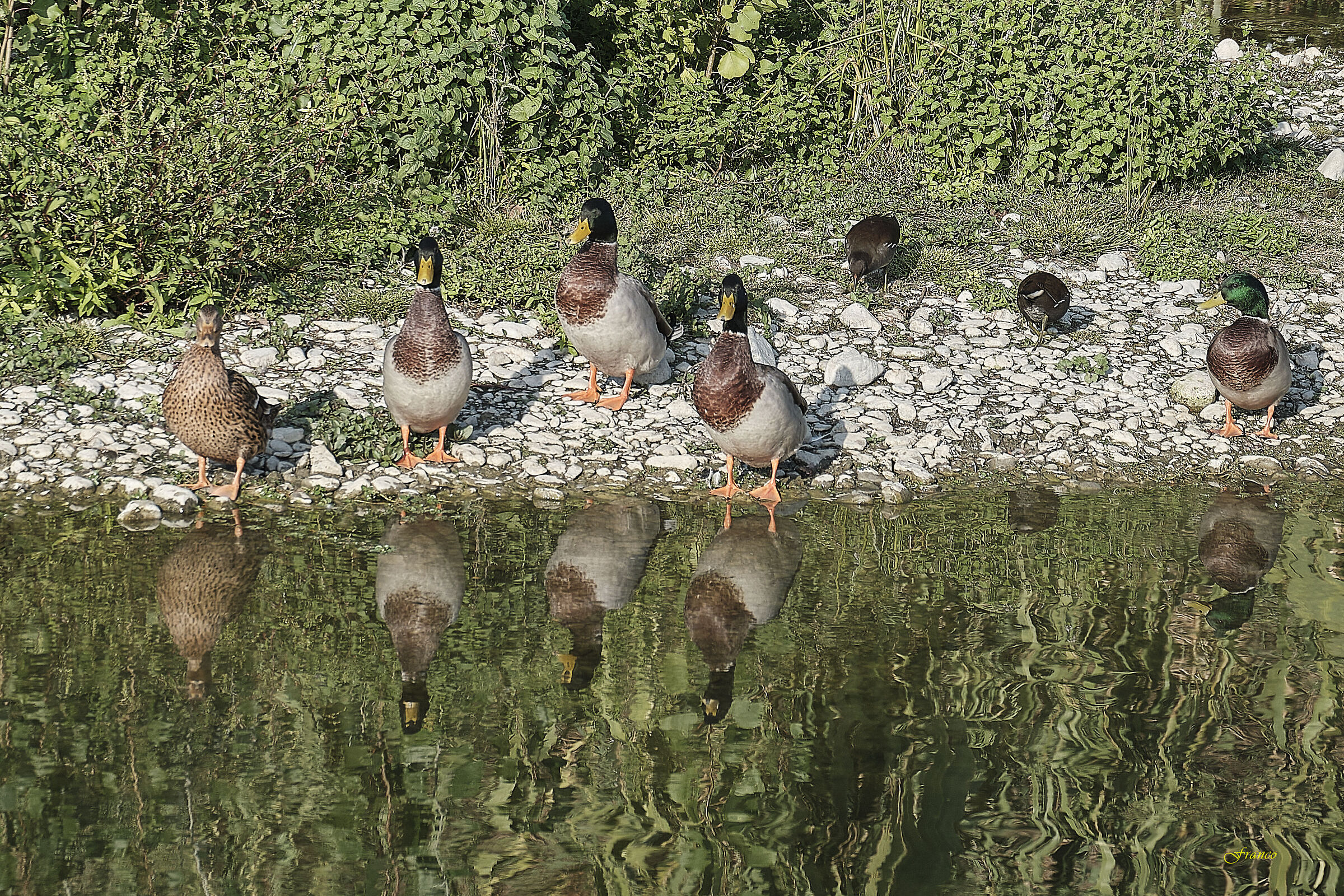 Everyone posing for the photo (except the usual naughty one)
