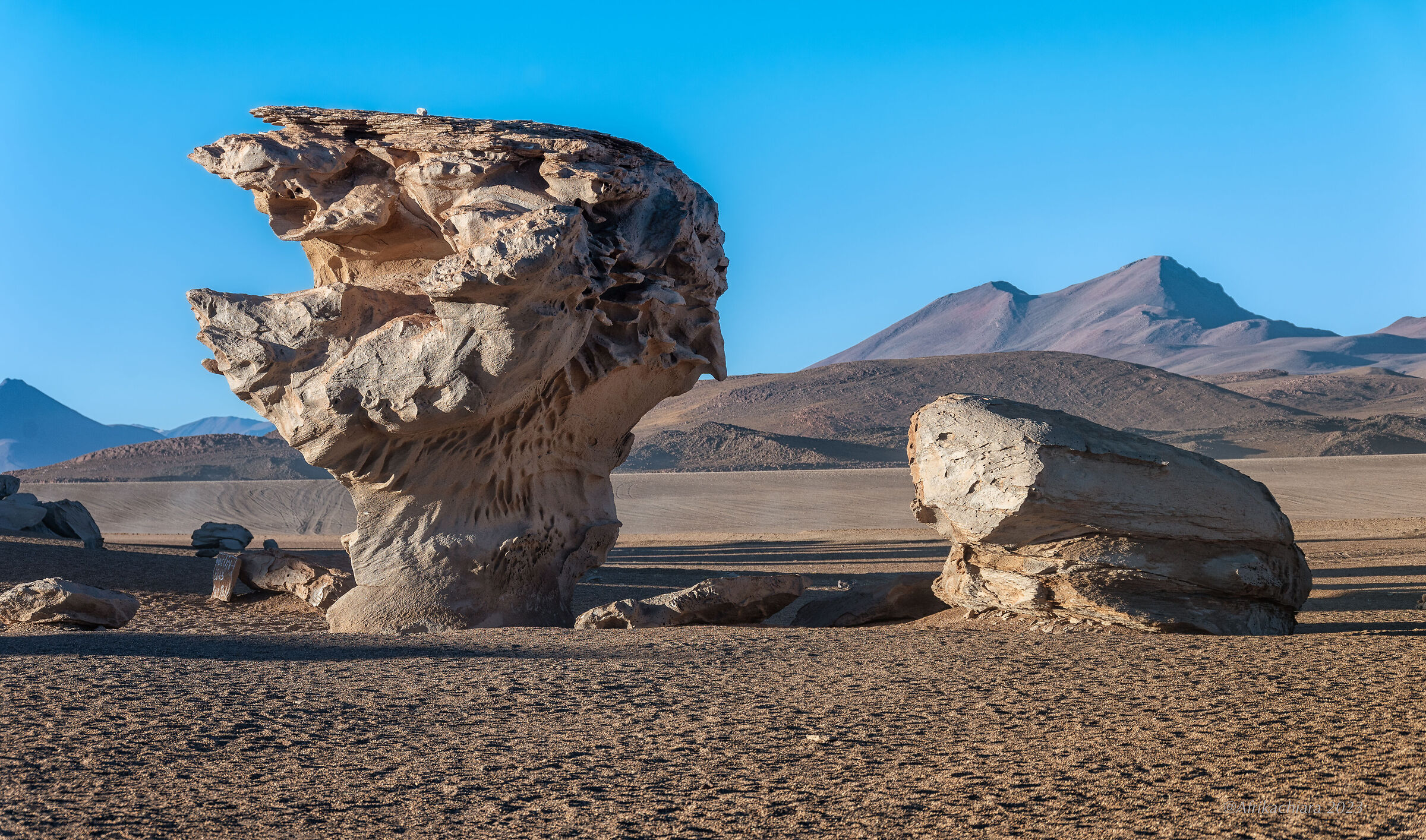 Siloli Desert "Arbol de Piedra"