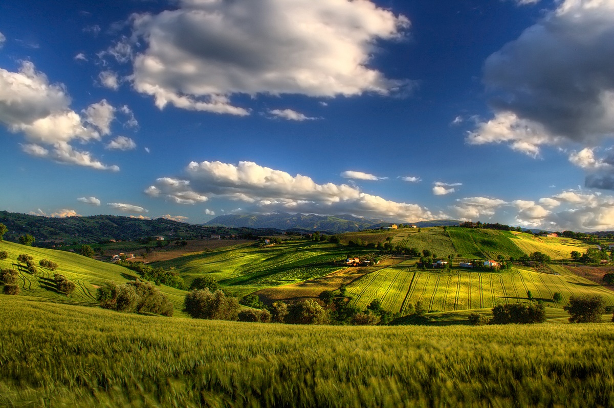 Marche - Landscapes