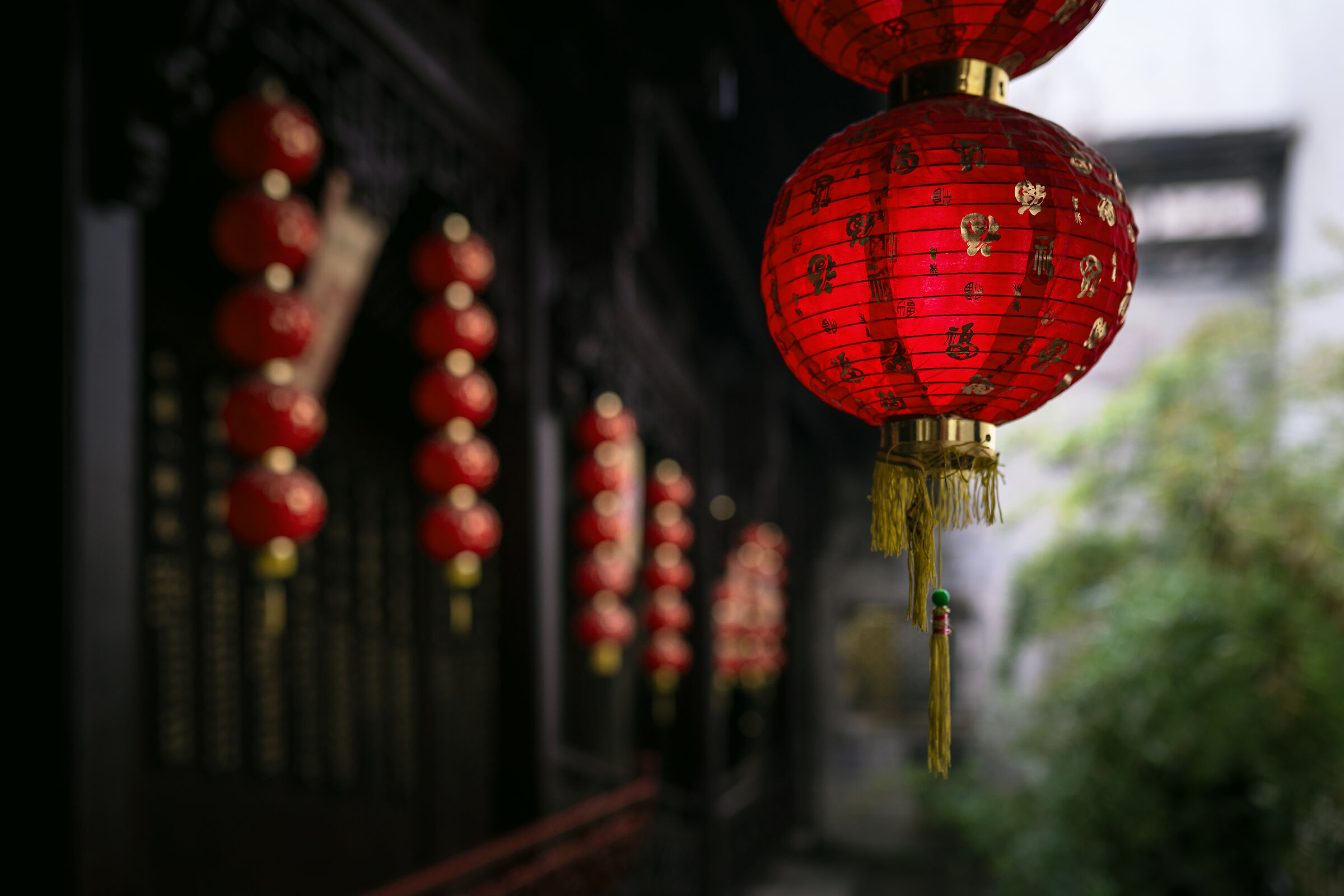Red lanterns II