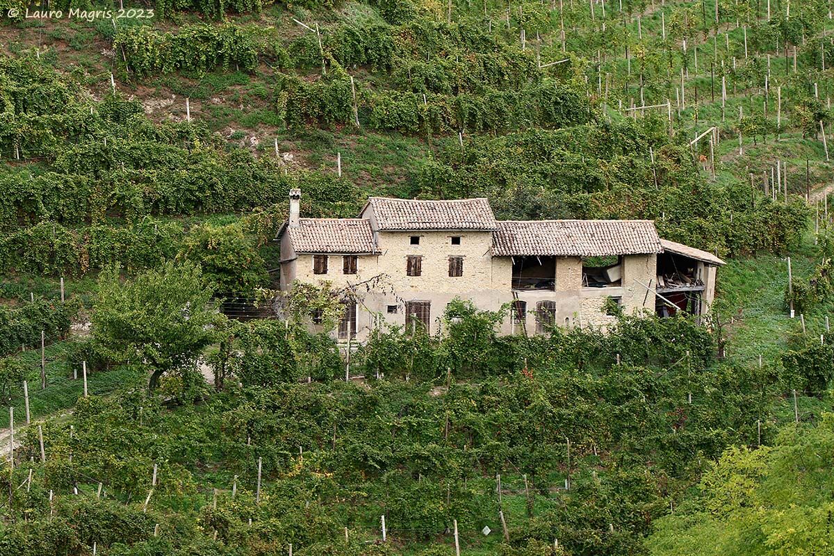 Dimora tra i vigneti