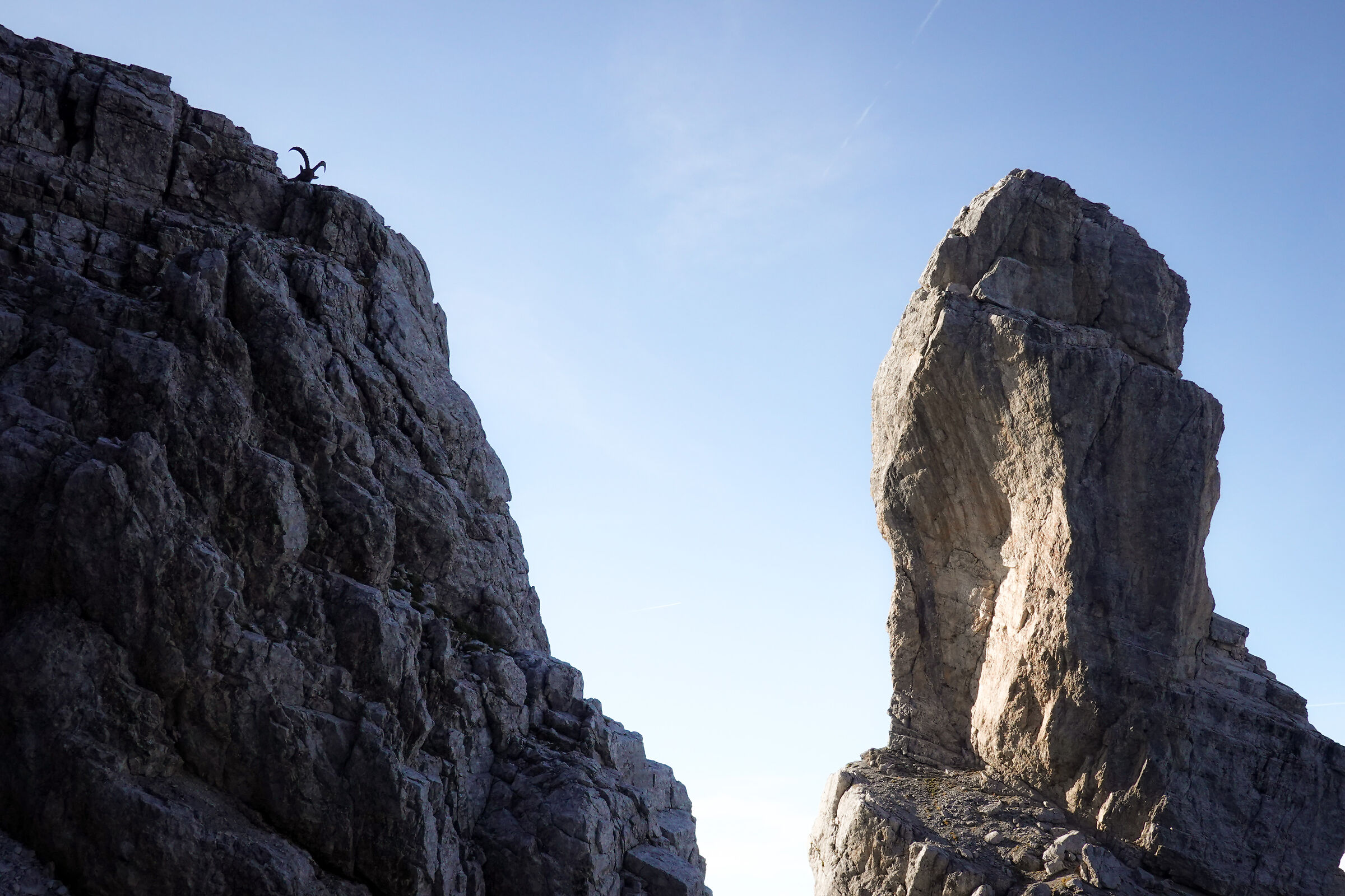 The guardian of the Puppet of Lozzo