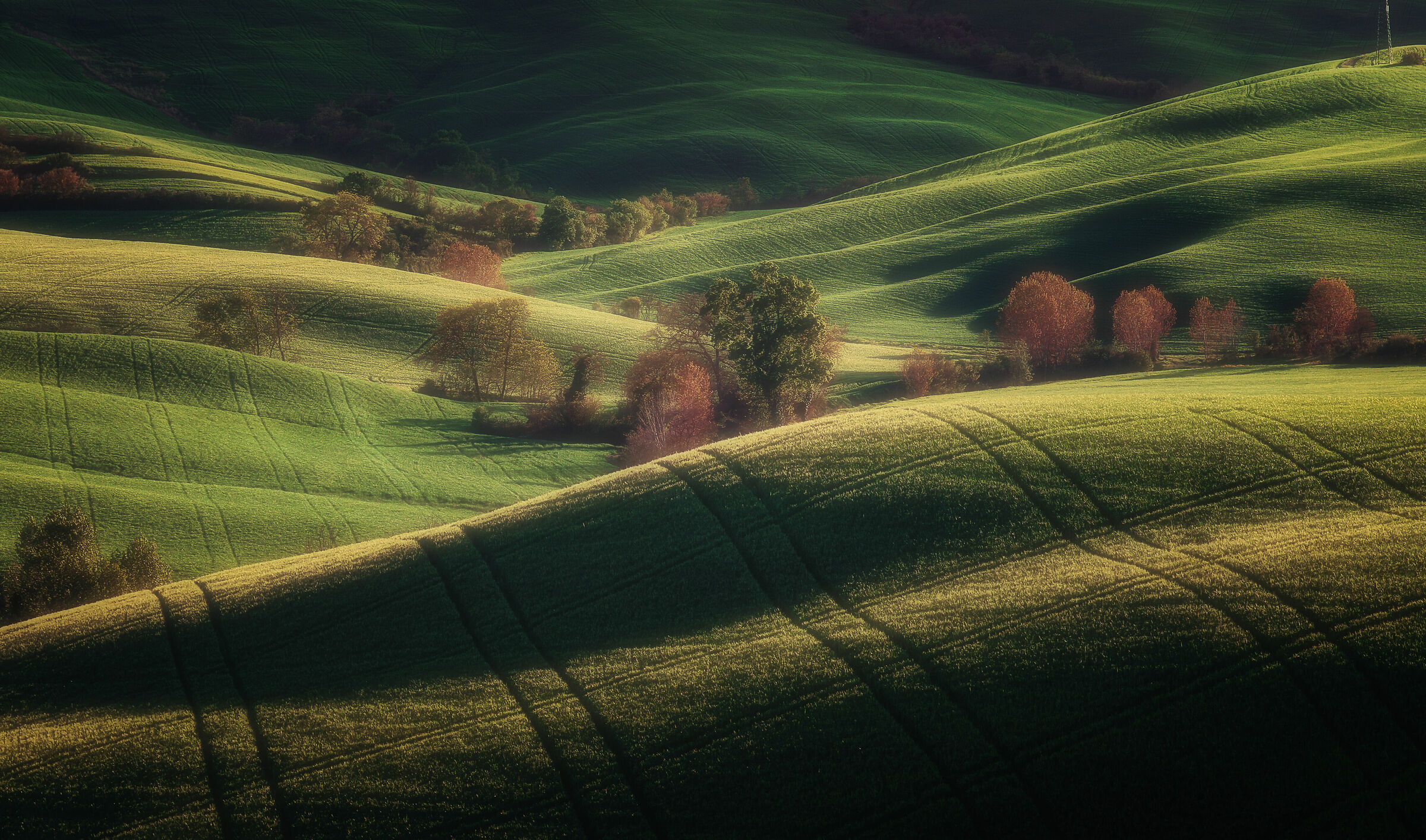 Tuscany Hills
