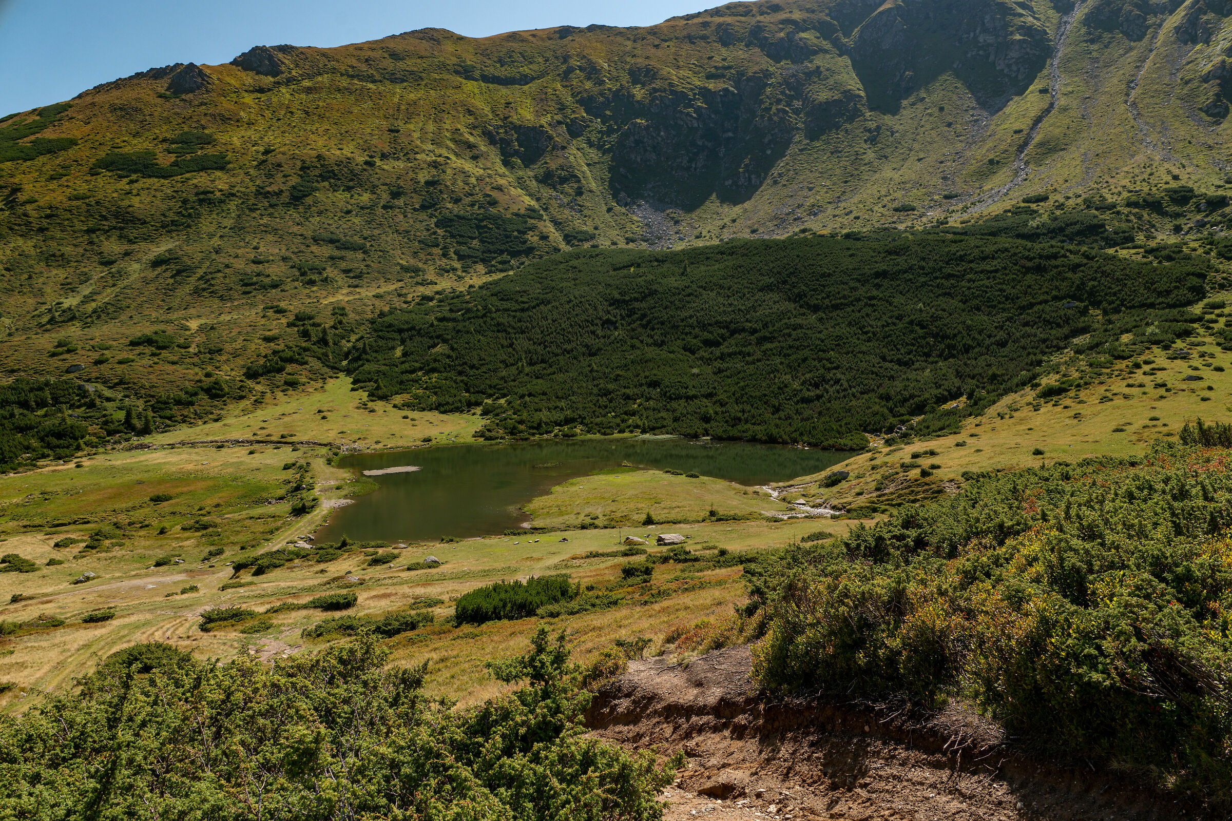Stiol Lake, Rodnei Mountains, Romania