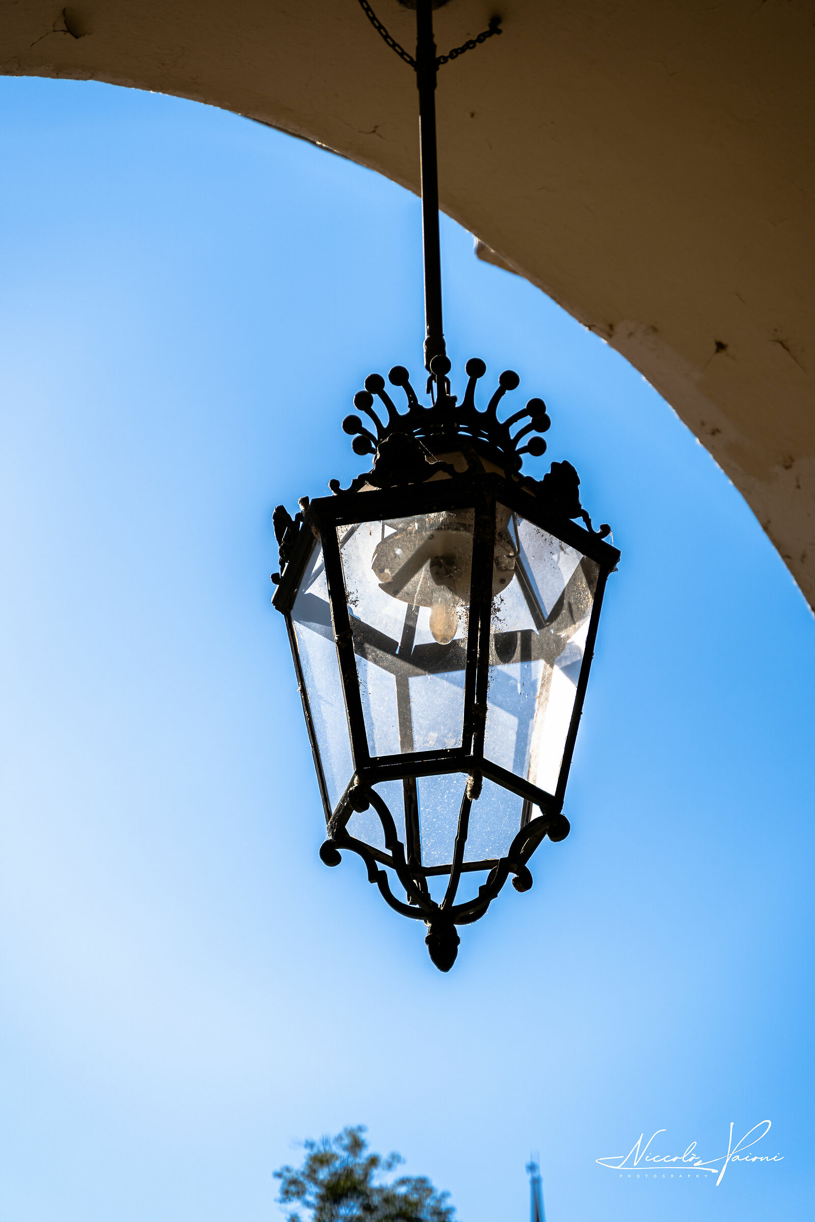 Untitled Photo