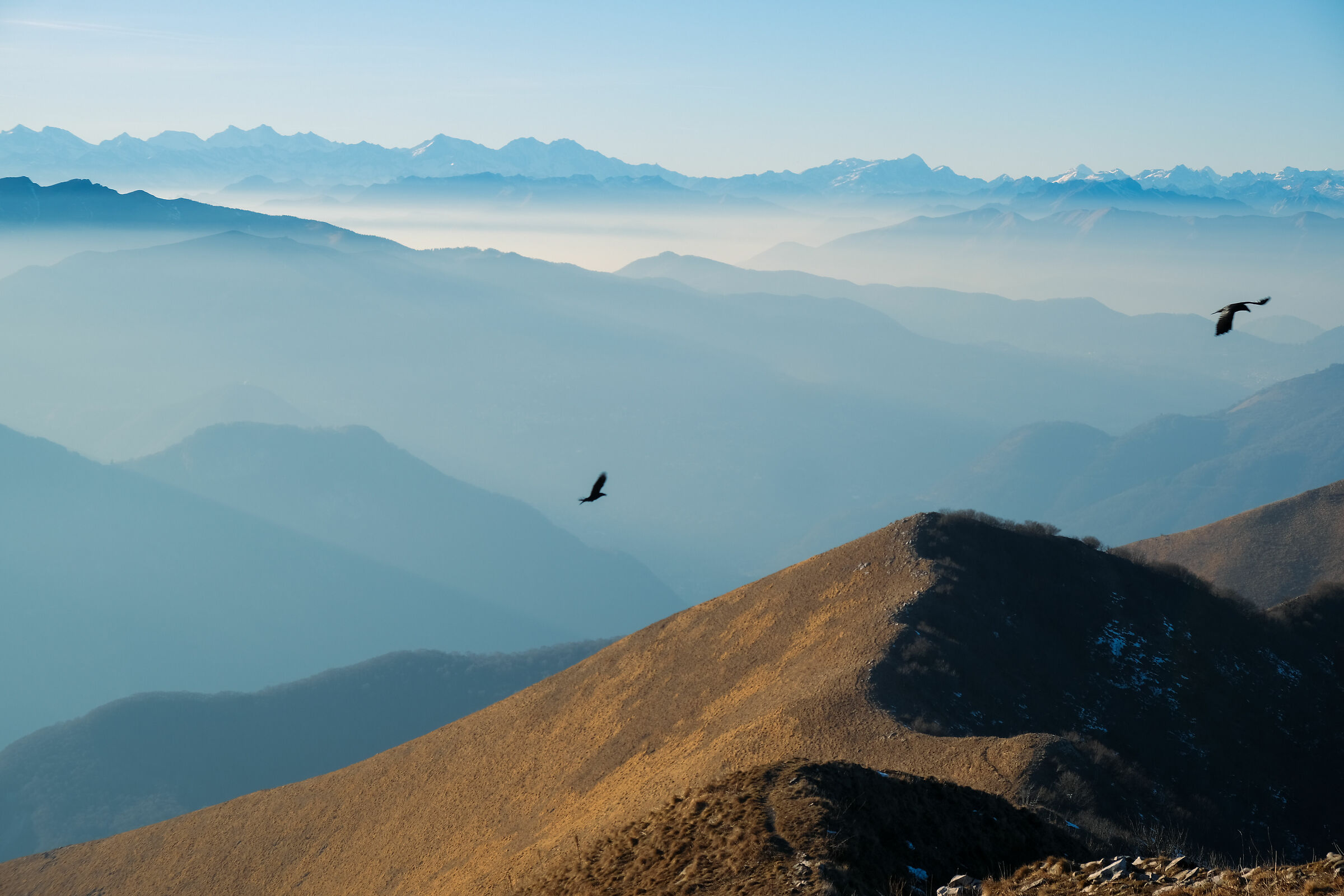 Freedom