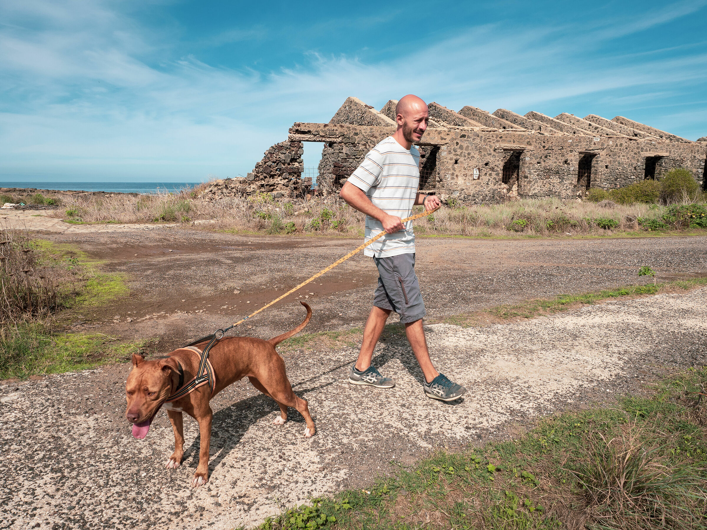 The Walk Out of the Kennel-1