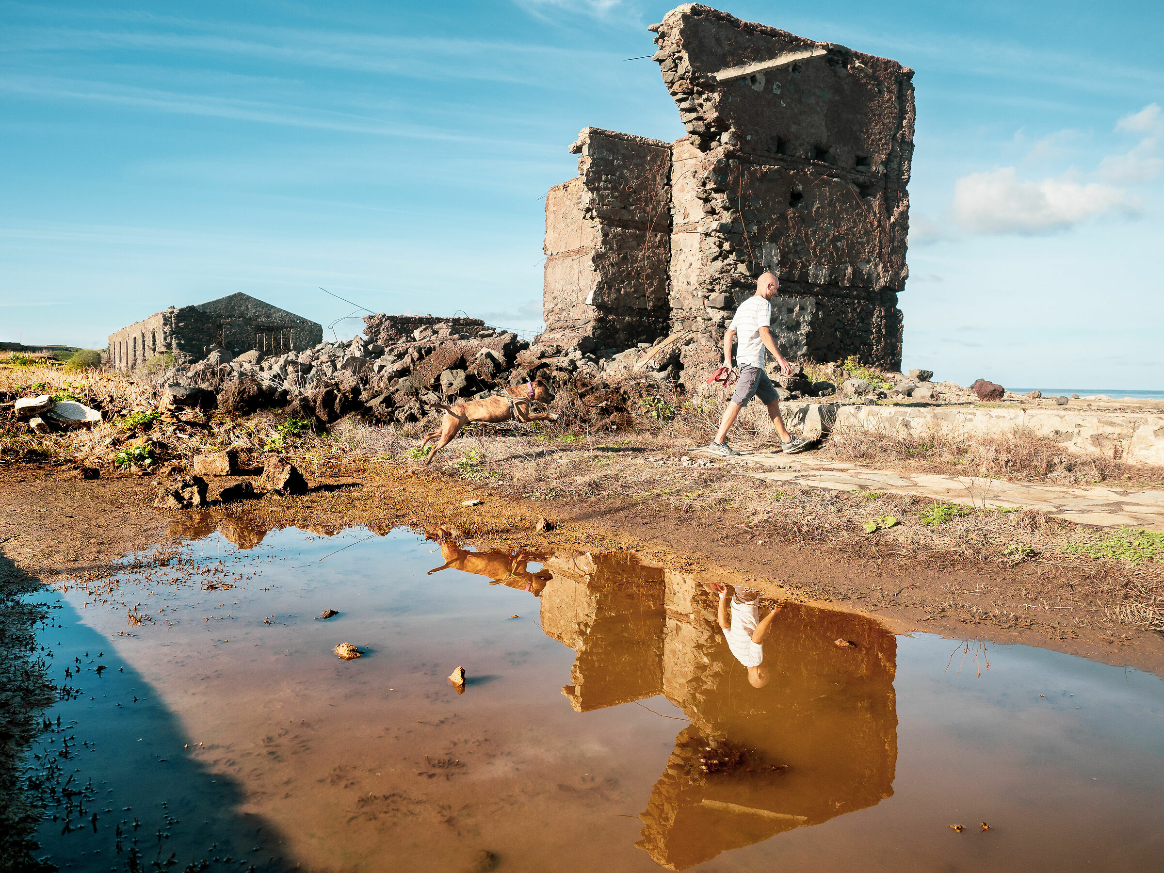 The Walk Out of the Kennel-2