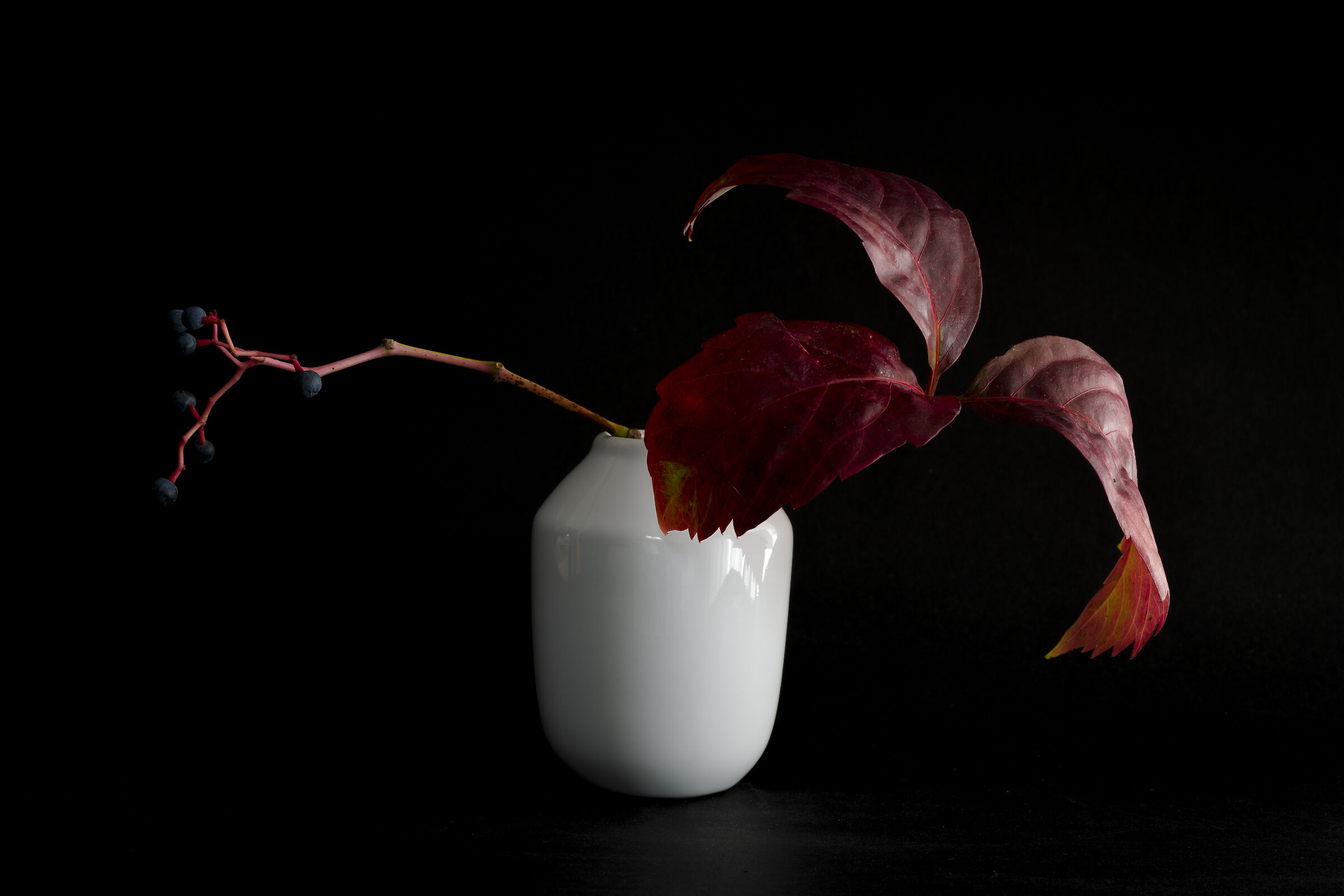 Vasetto con vite canadese