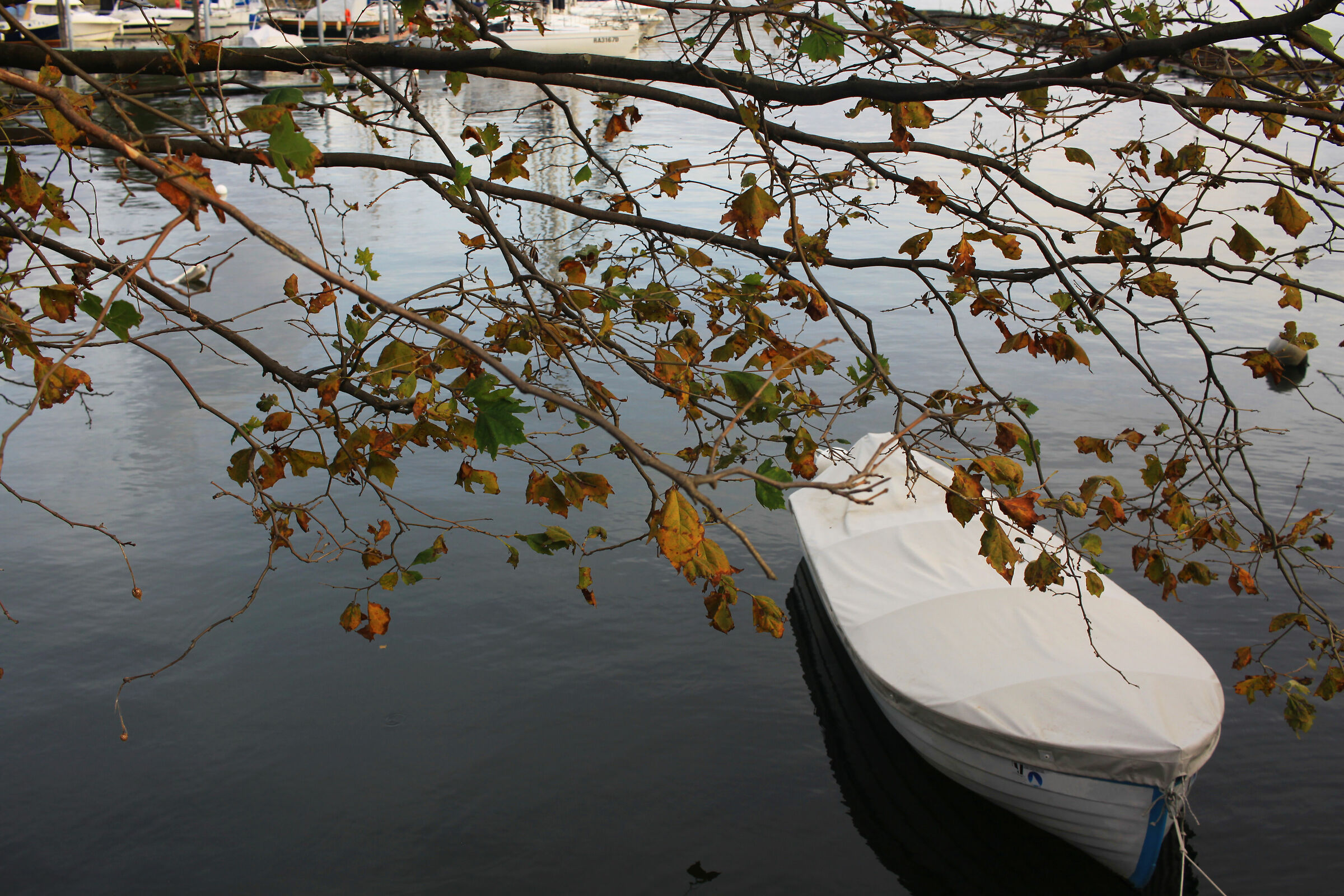 sul lago d'autunno