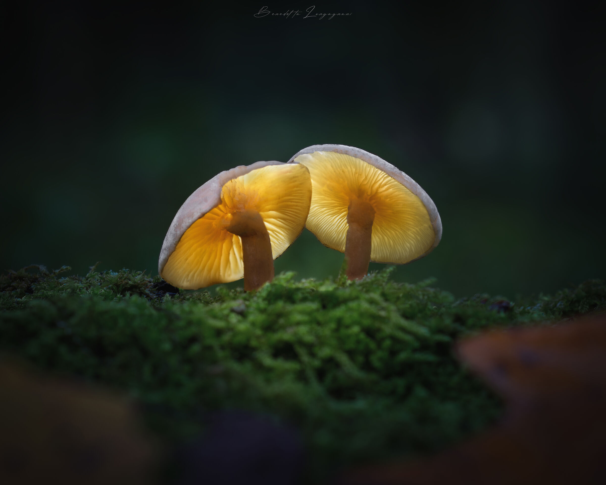 I'm not perfect, but stay close to me