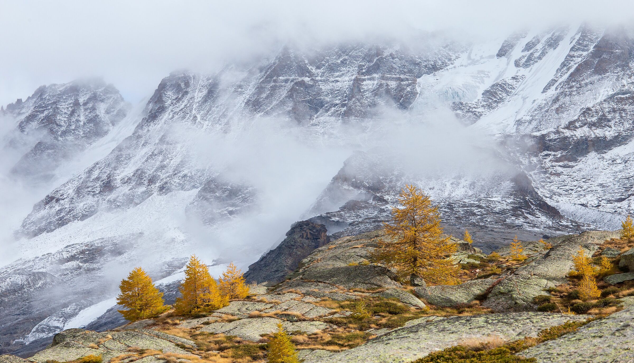 larici e prima neve, Valsavarenche