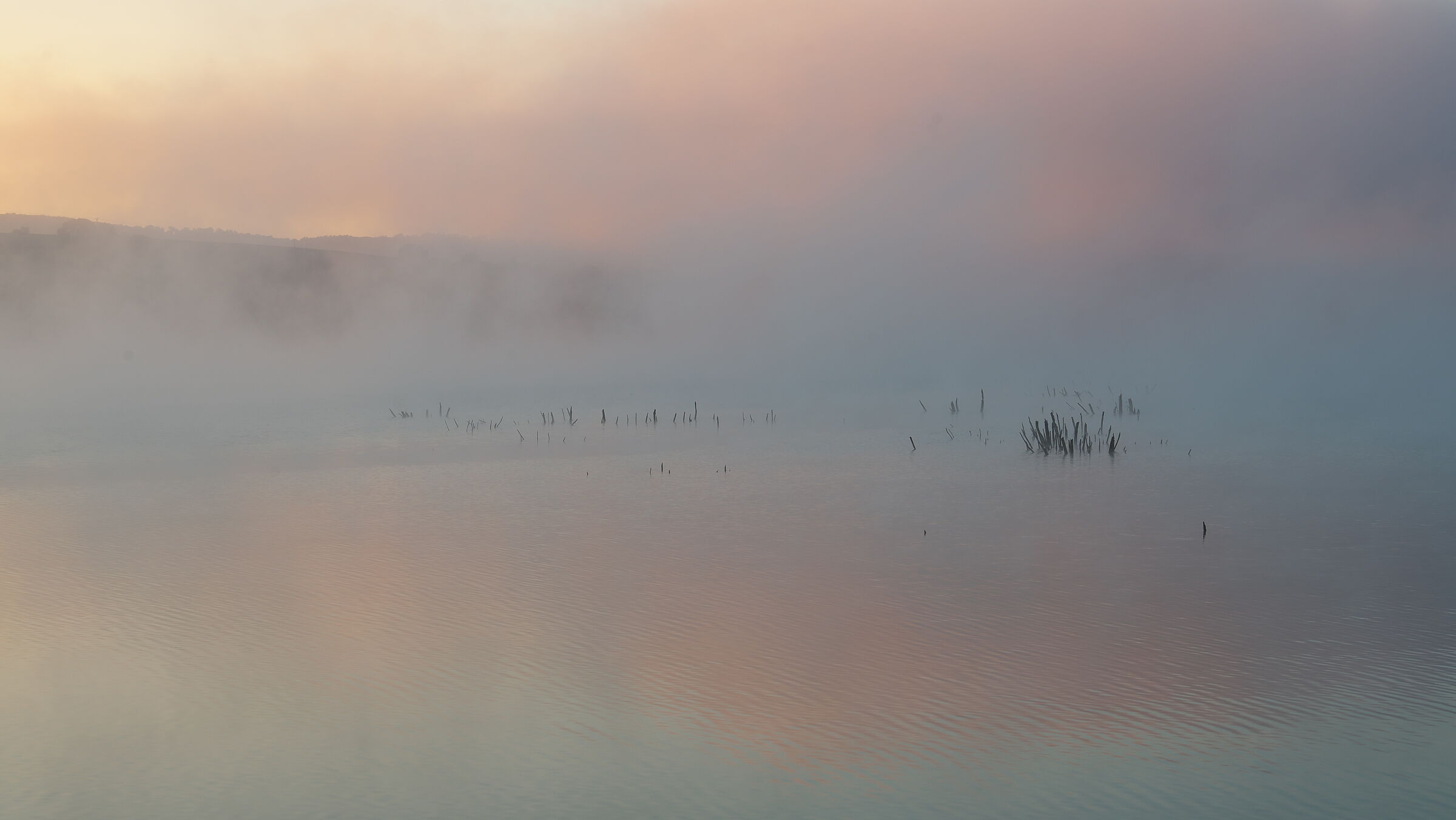 Pastel dawn on the lake