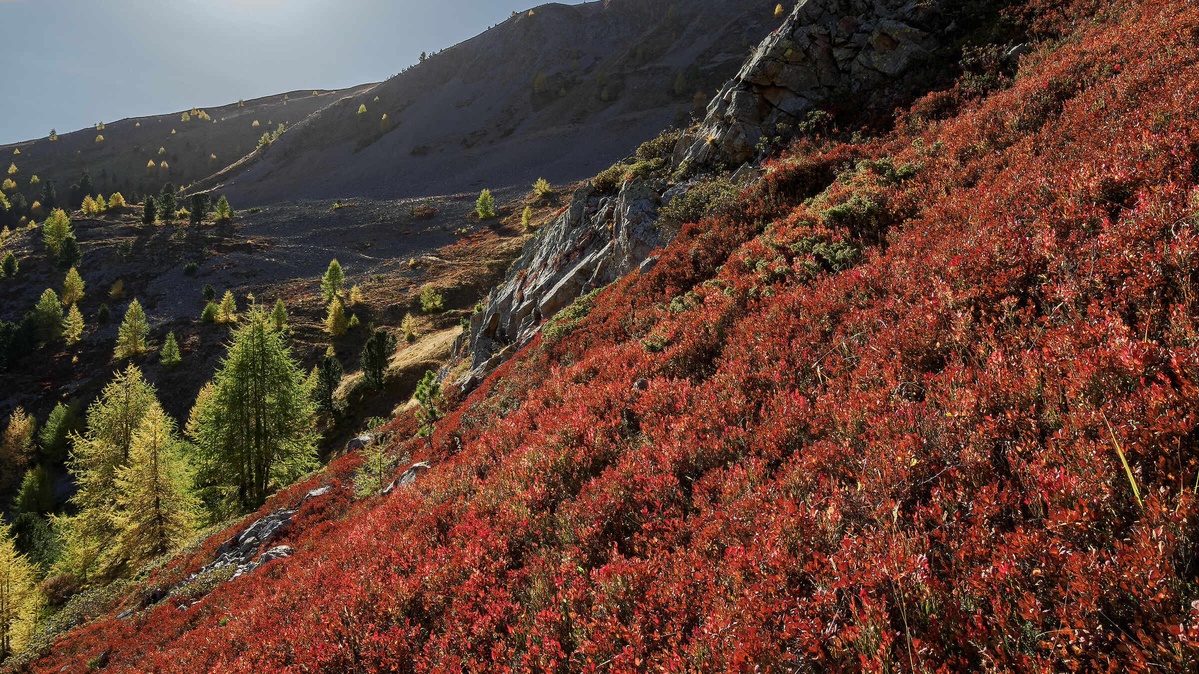 Controluce autunnale