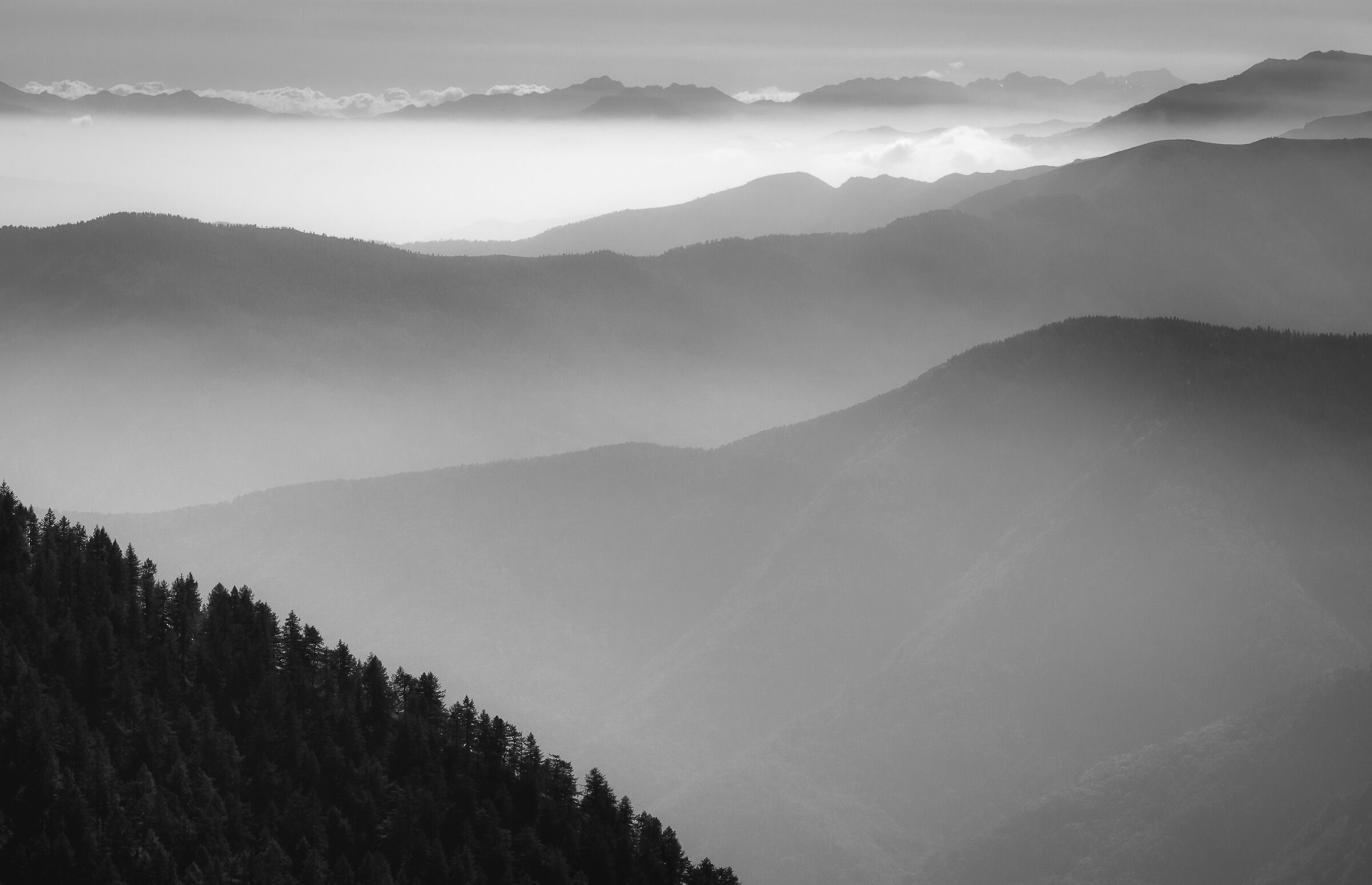 benvenuti in paradiso