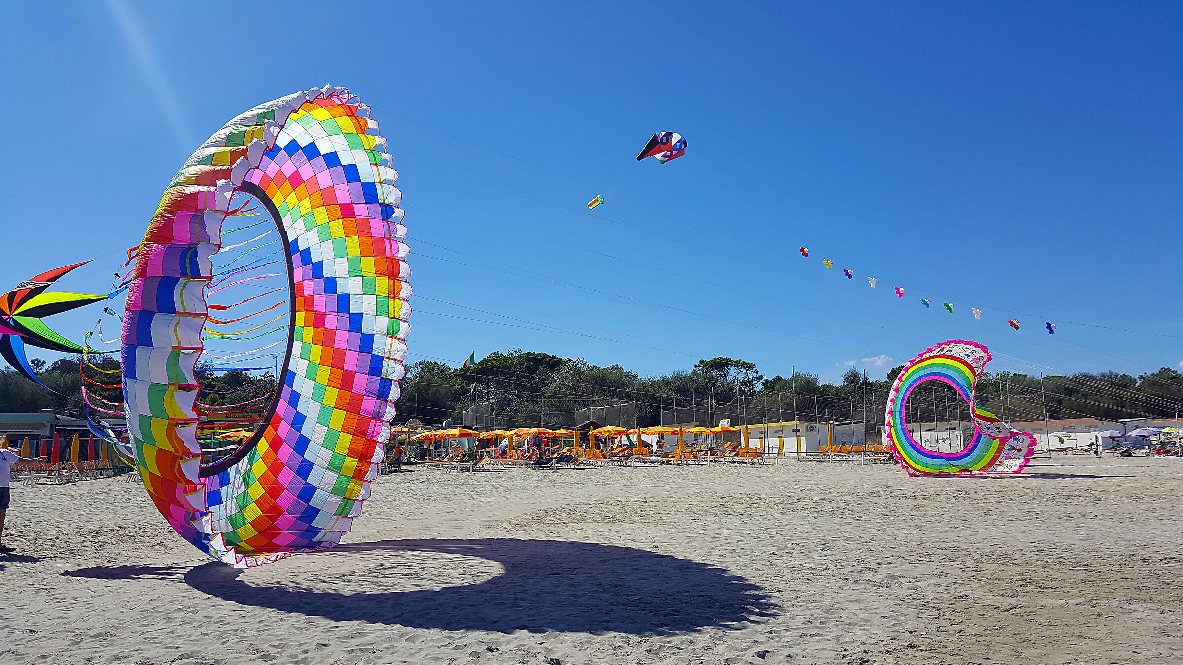 Kites