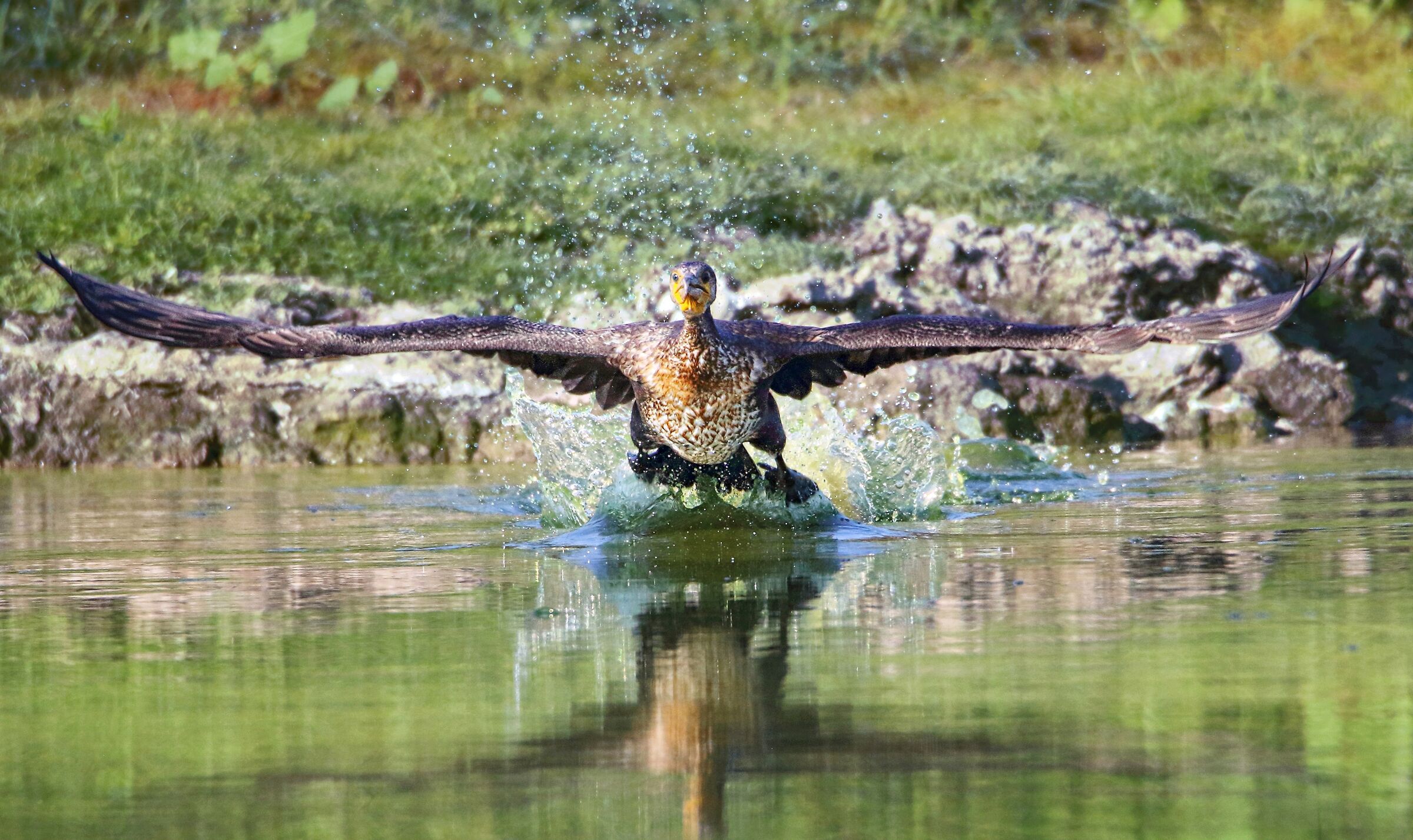 In prima fila durante il decollo