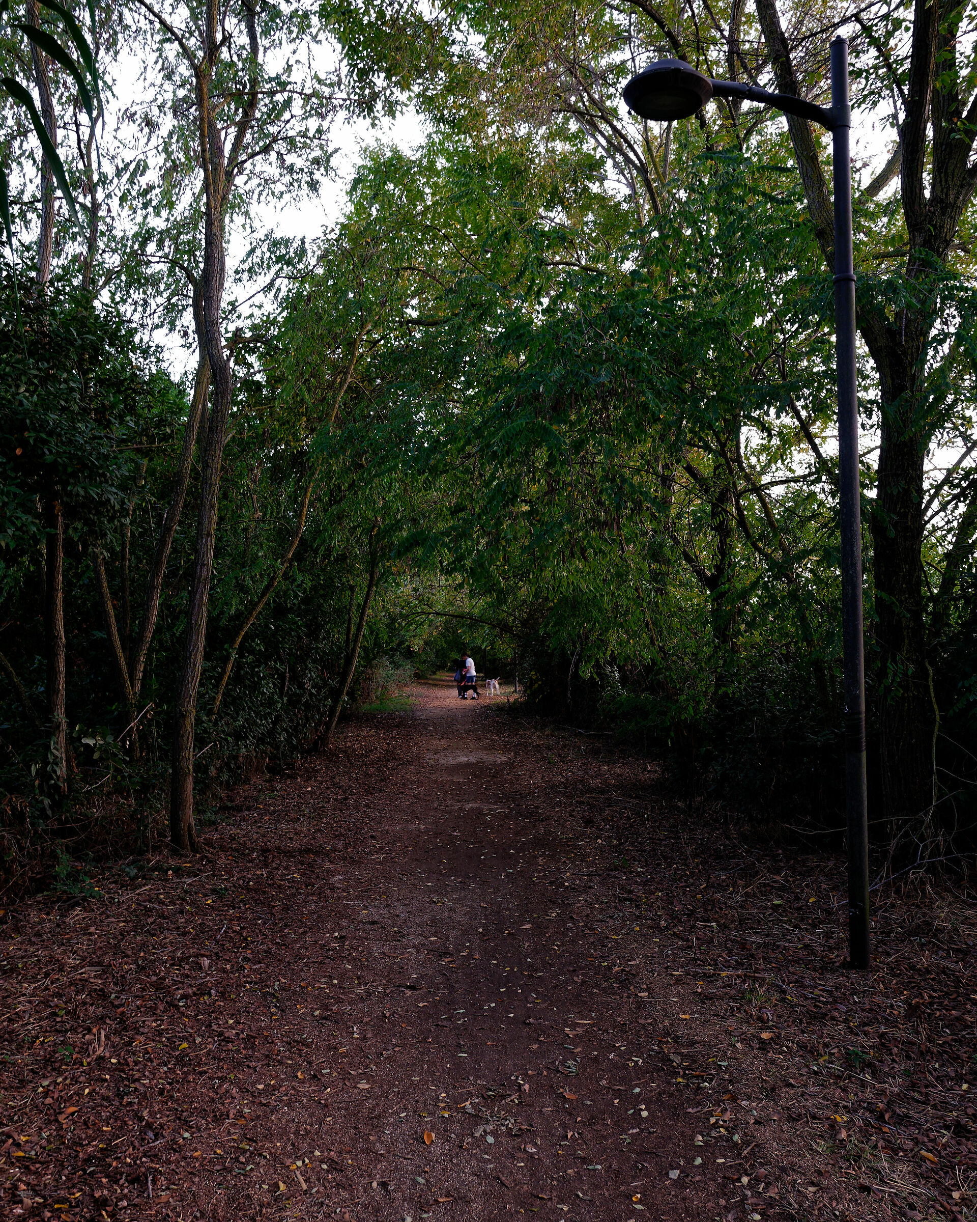 passeggiata in bicicletta 3