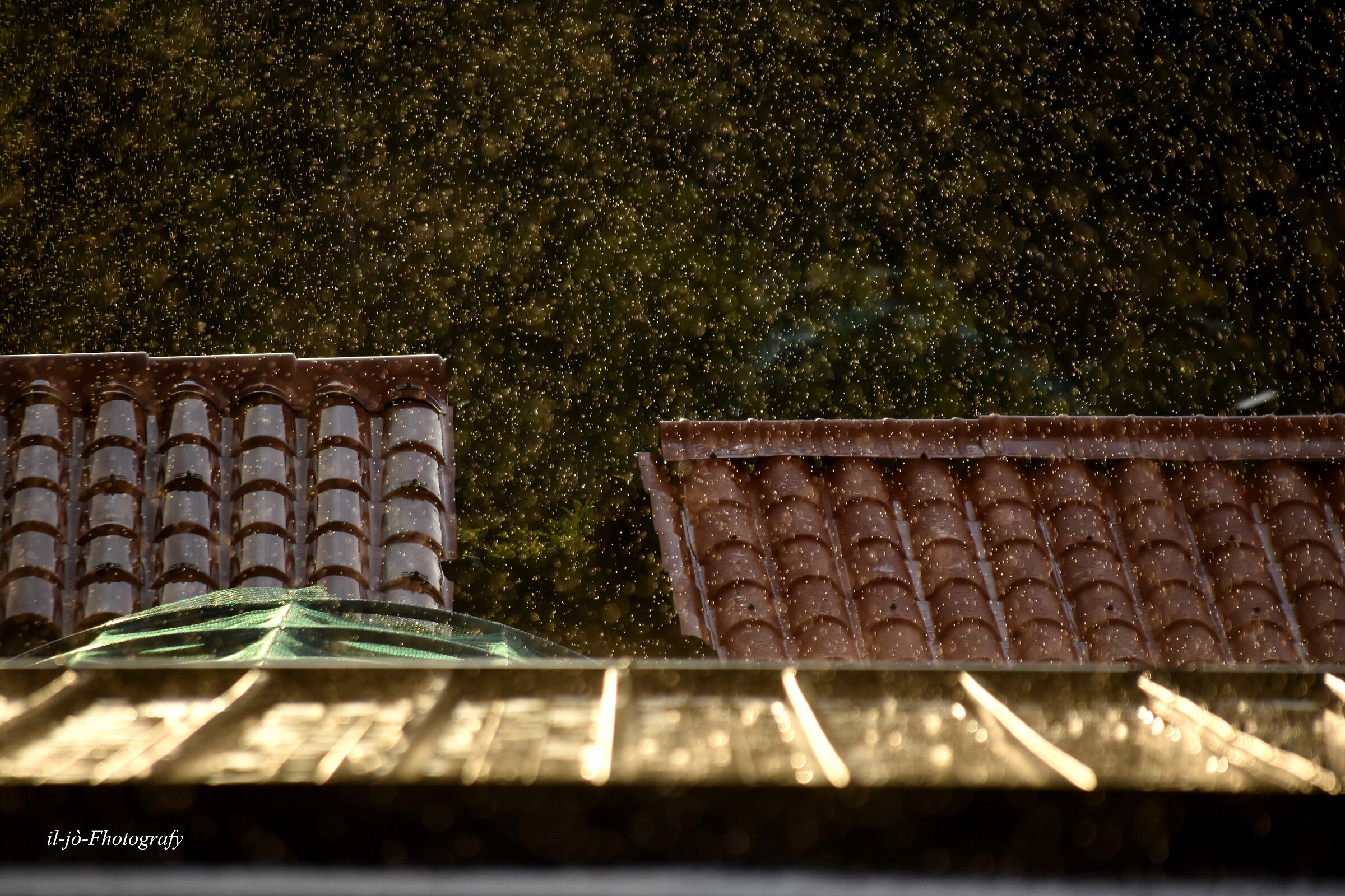rain