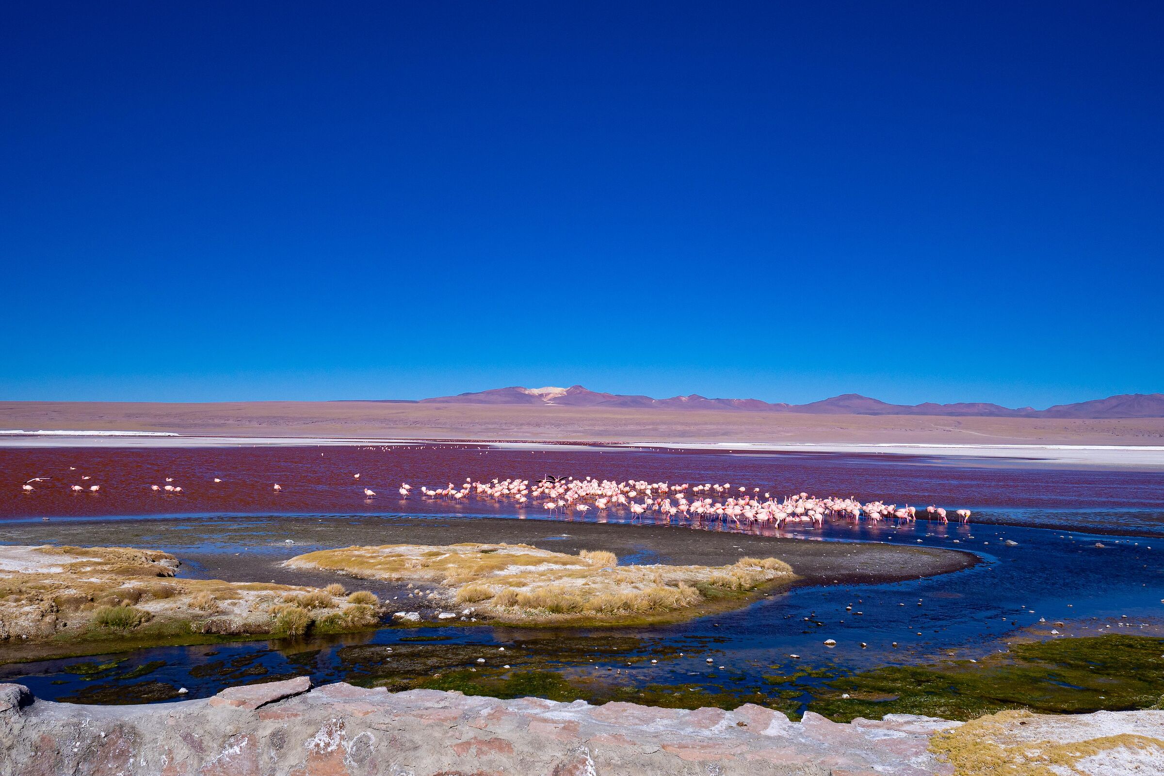 Laguna Colorada