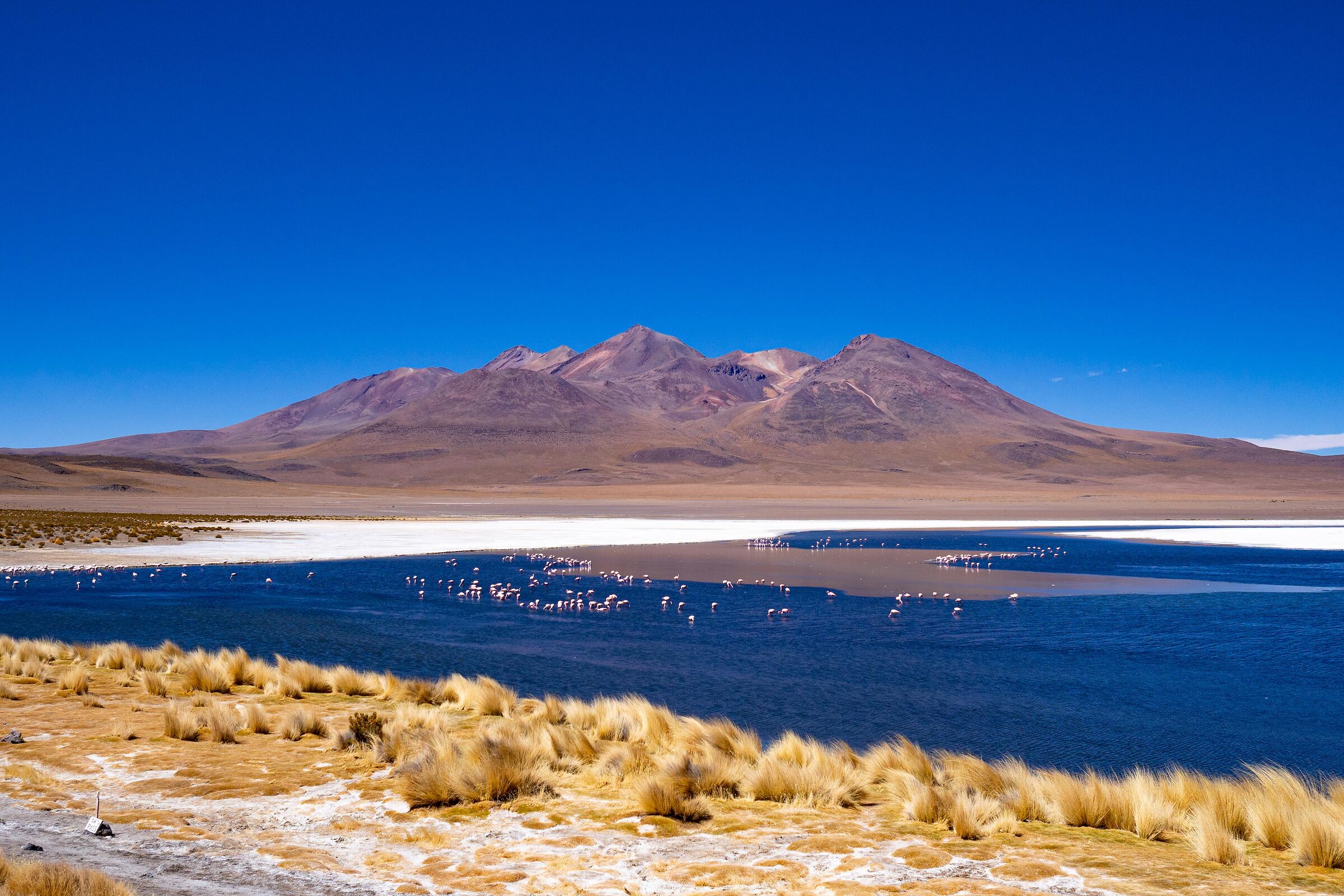 Laguna Hedionda