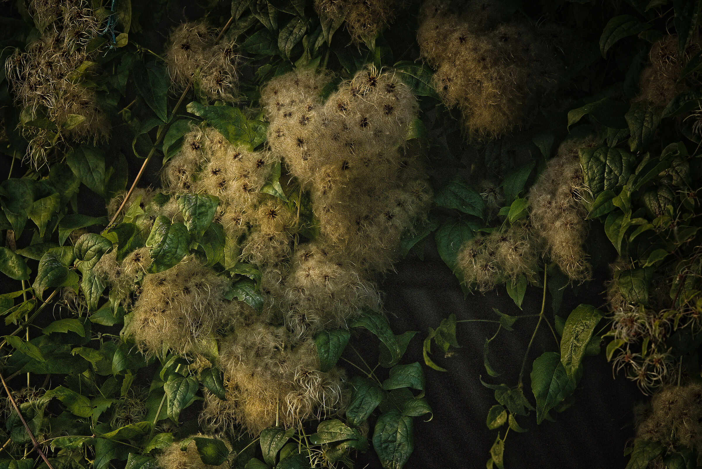 Untitled Photo