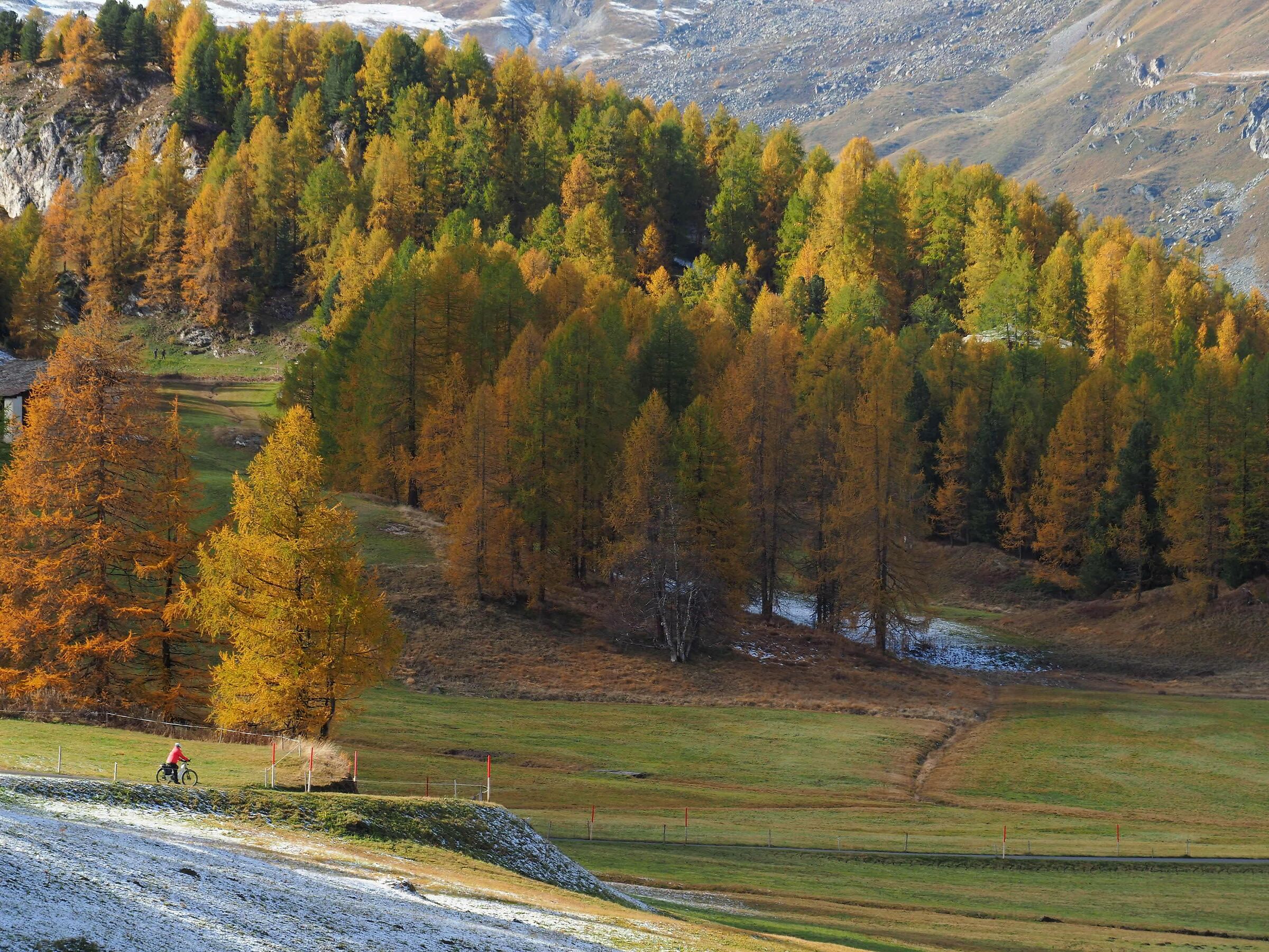 Autunno in Engadina  (svizzera)