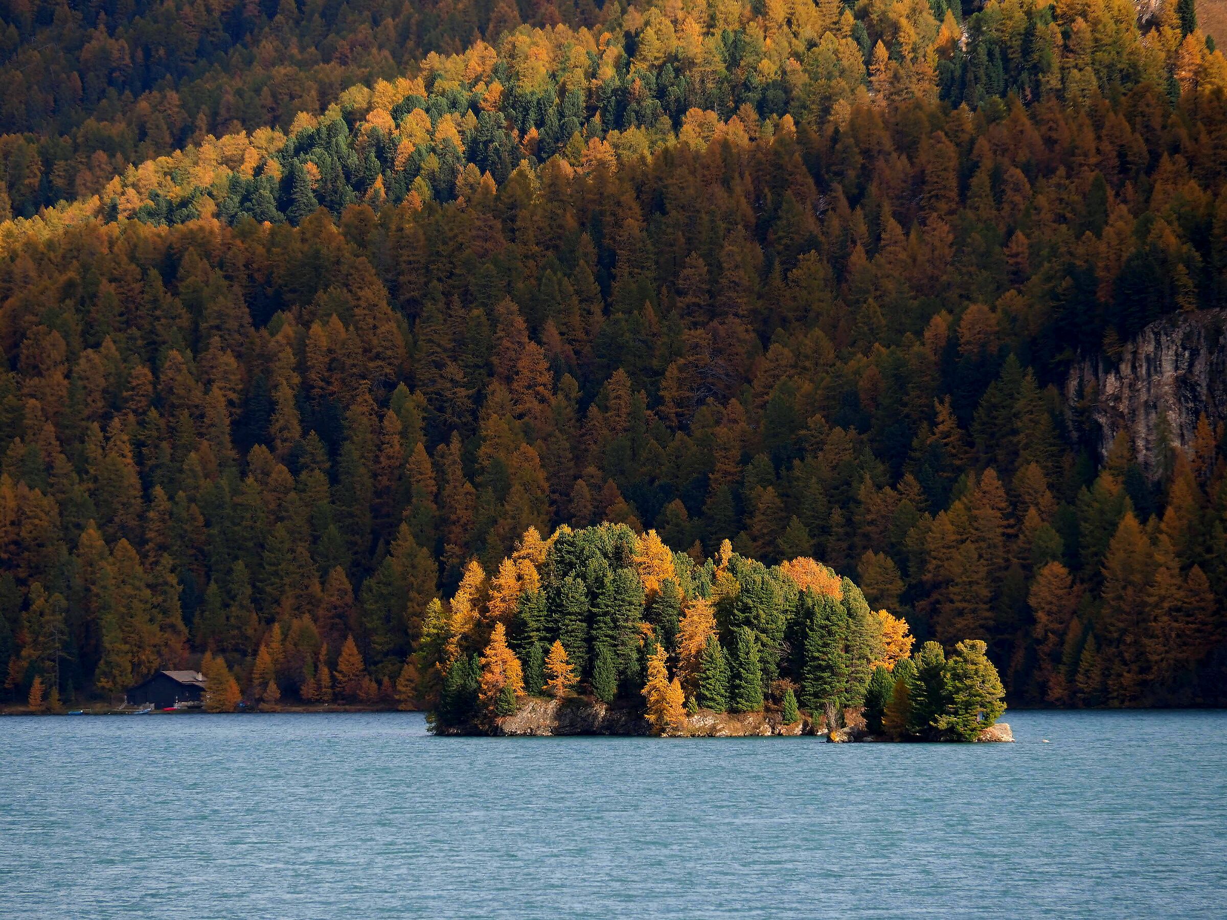 Questo sì che è autunno !    Engadina-Svizzera