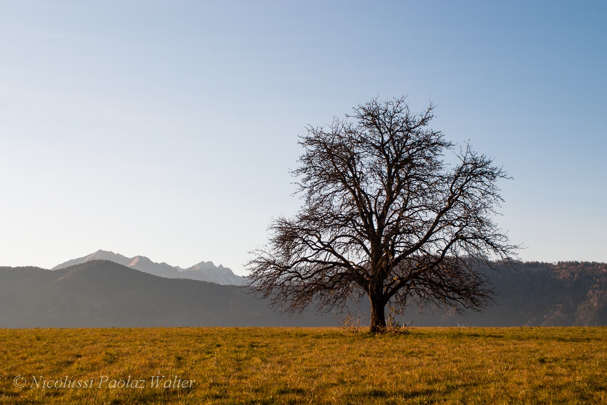 Giganti solitari: Encelado