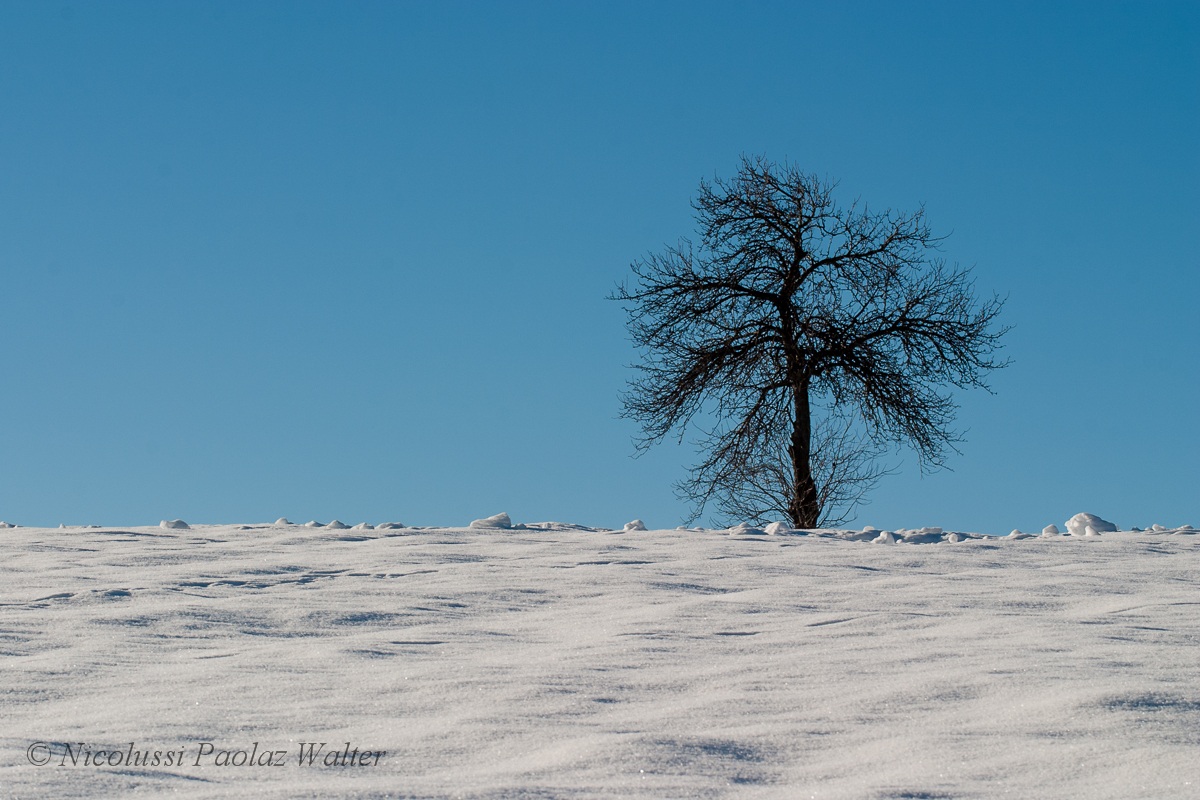 Giganti solitari: Tifeo