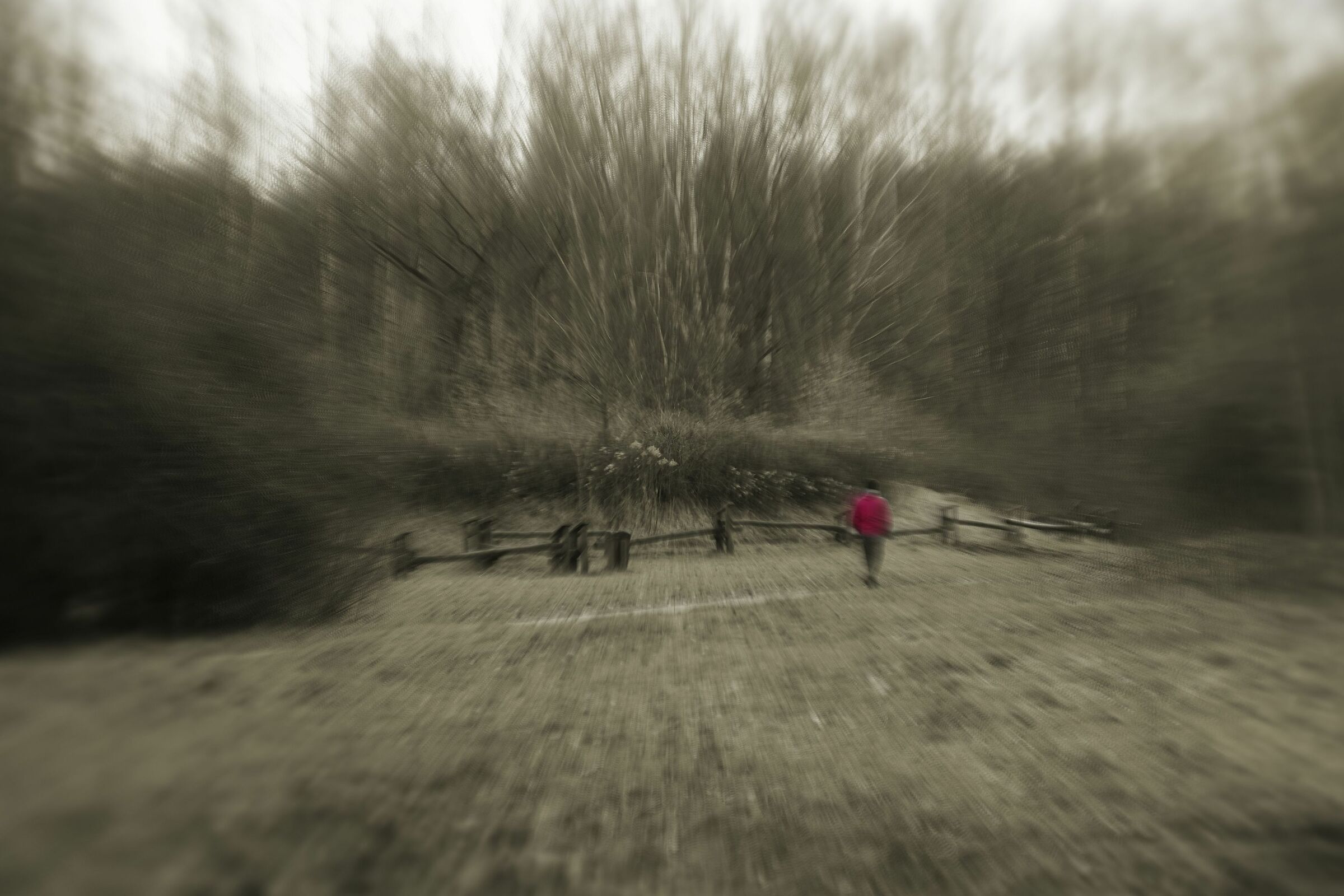 a red dot in a gray world