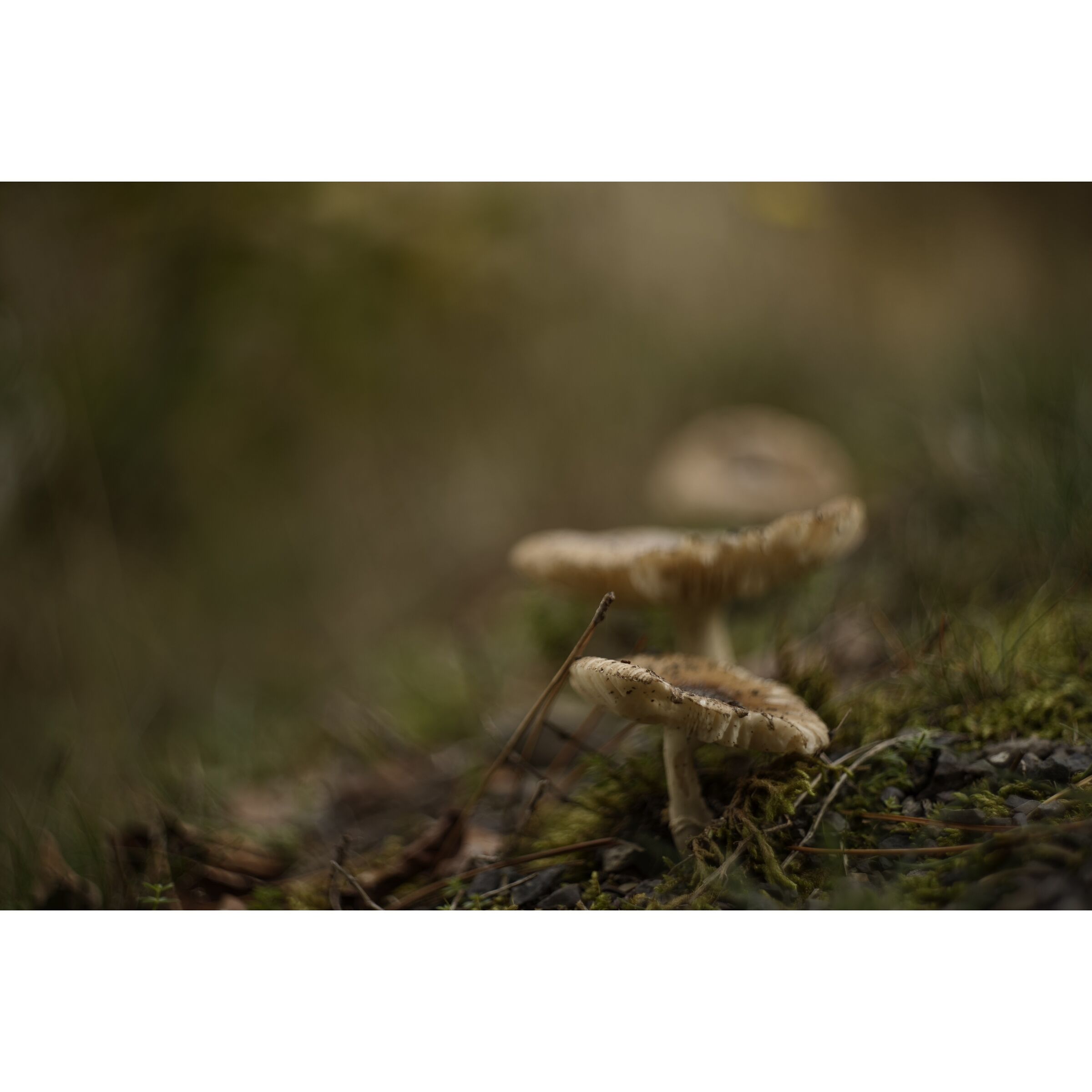 Untitled Photo