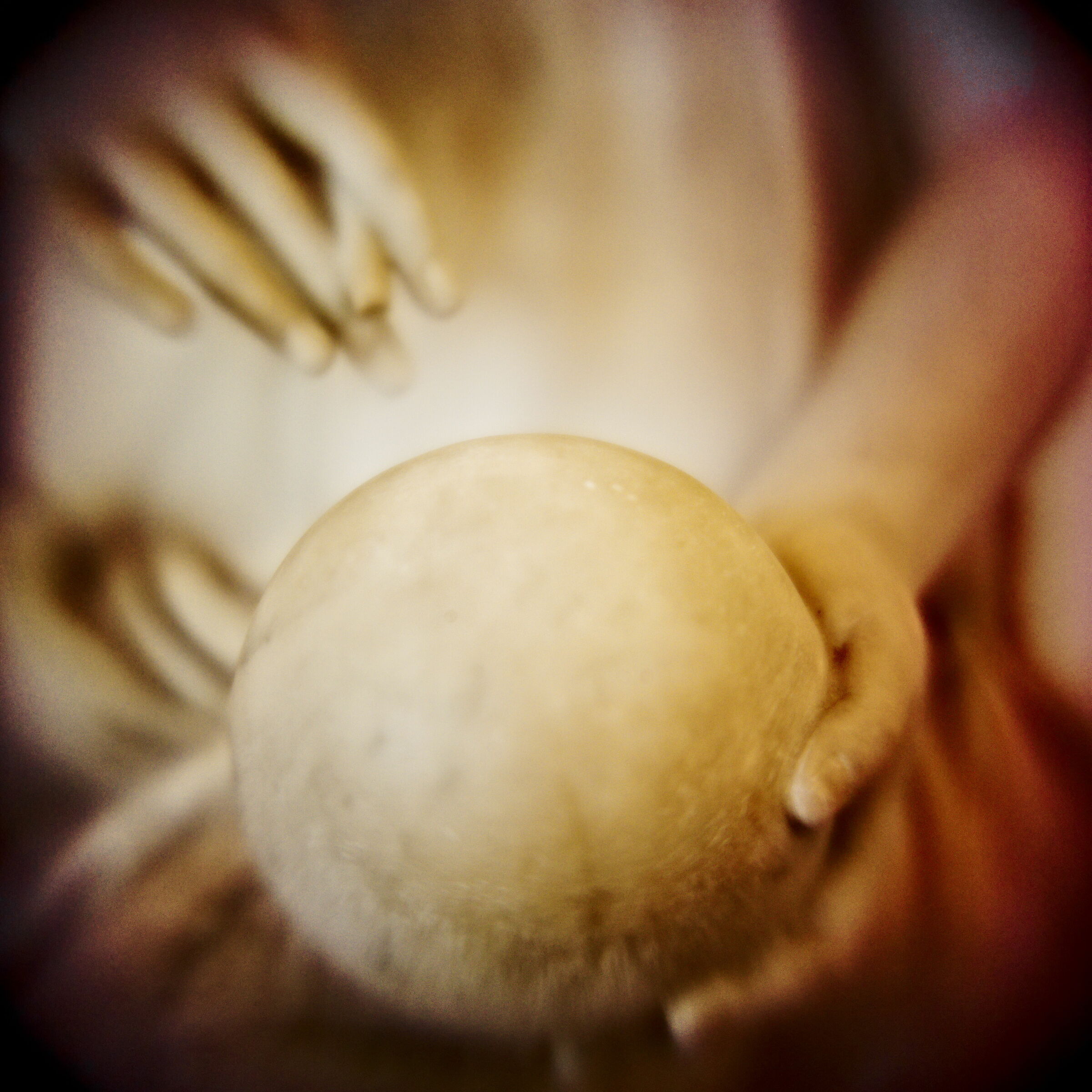 Urania, muse of astronomy