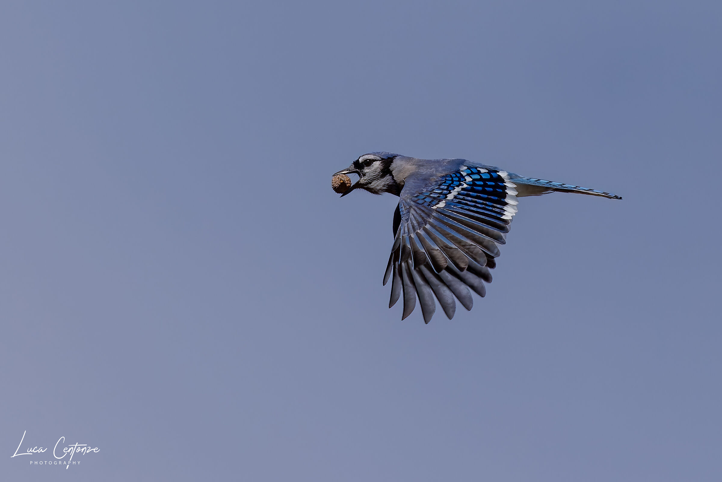 e' tempo di raccolta