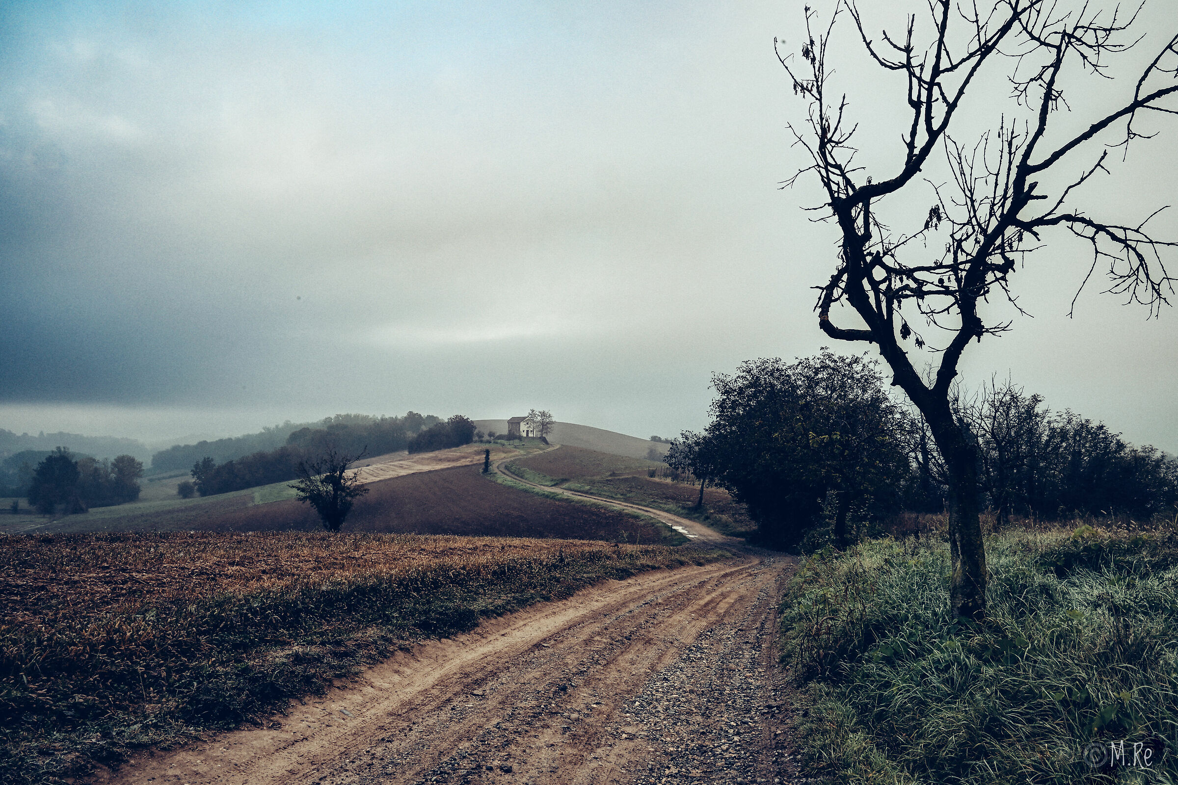 Paesaggio di collina