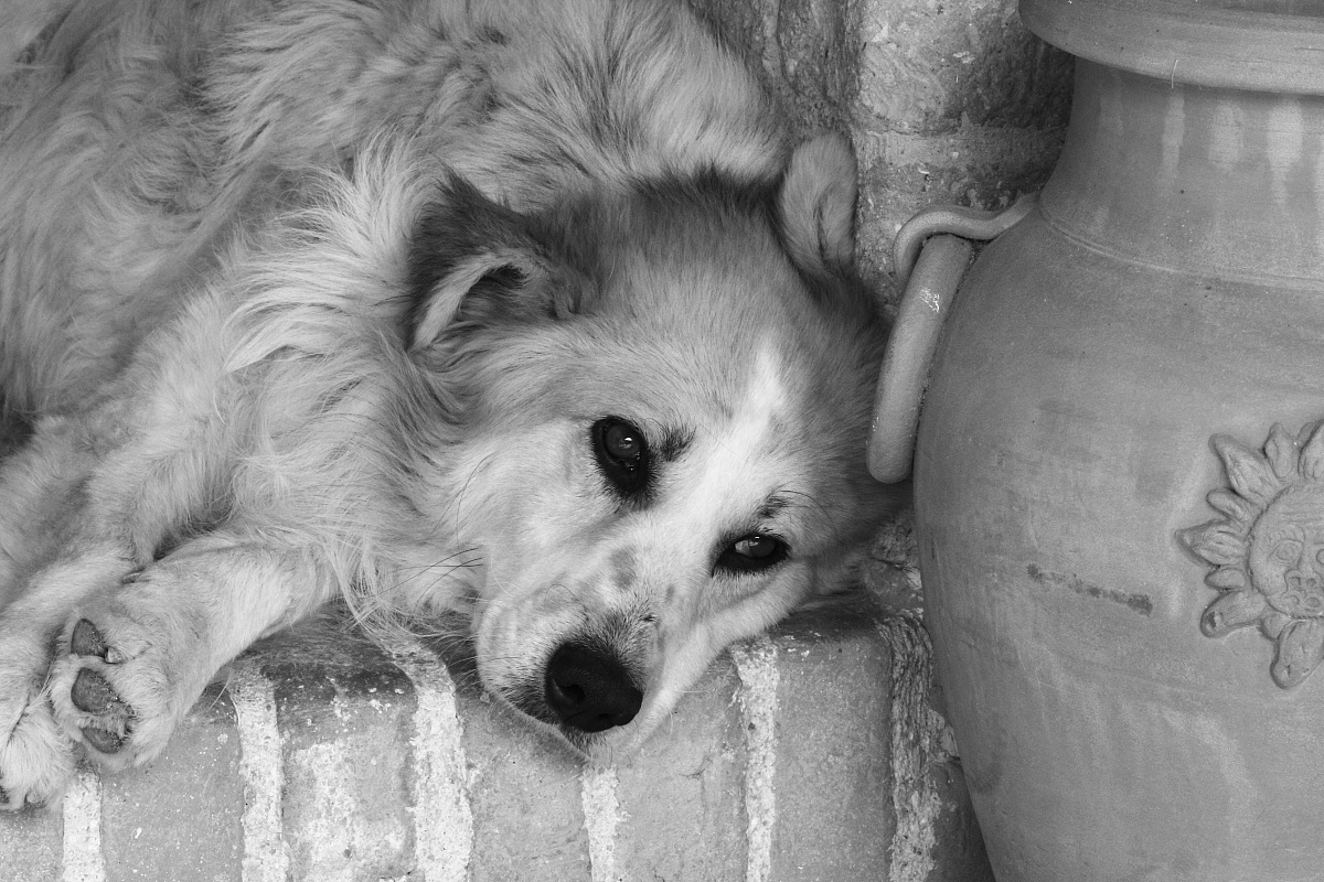 Il malinconico pensatore