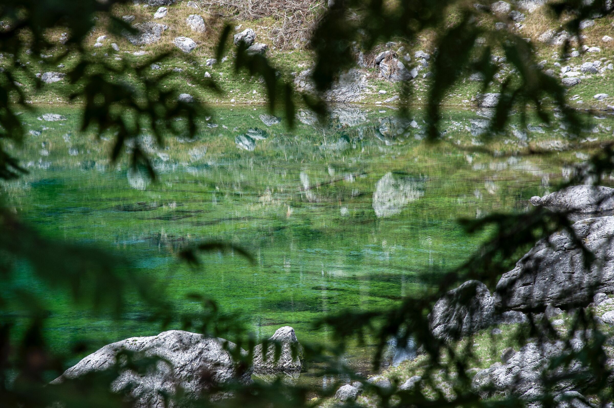 The colours of Carezza