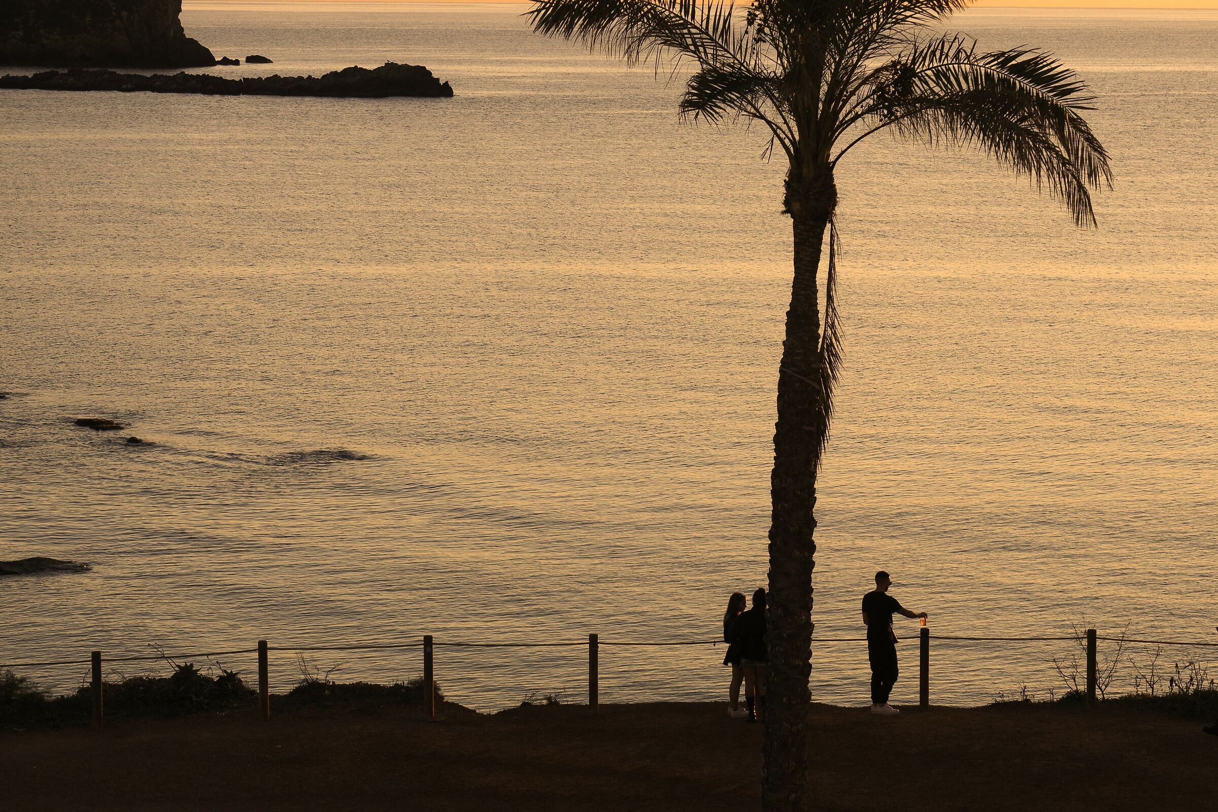 A drink at dawn