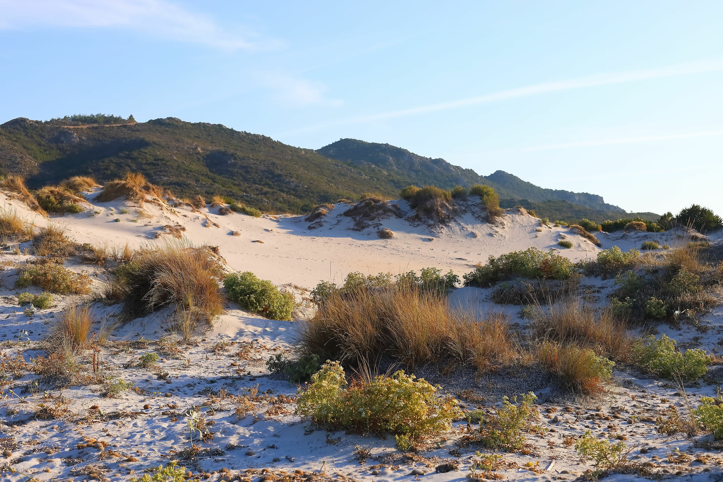 Capo Comino 12-09-2023