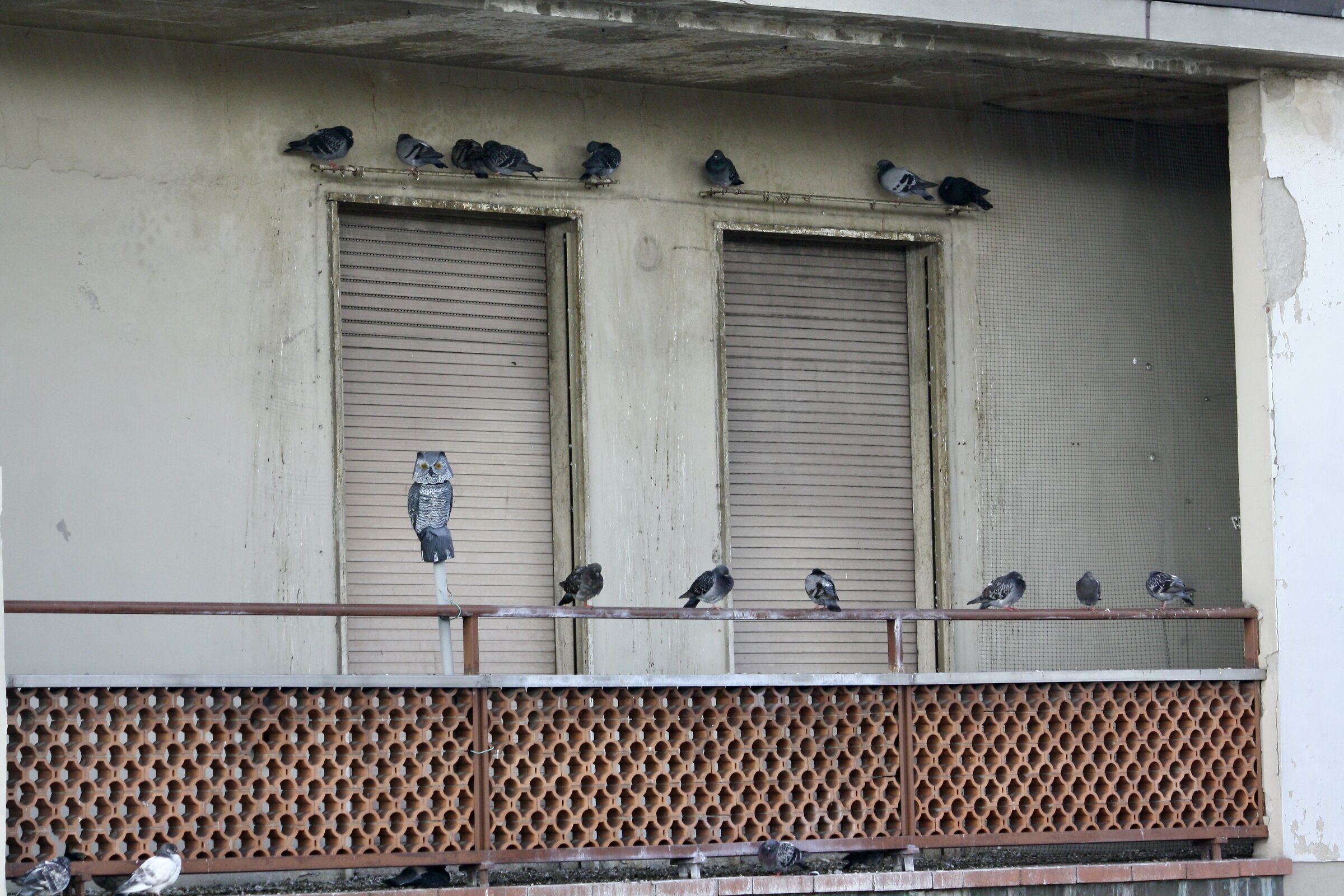 l'apparenza ... non inganna !