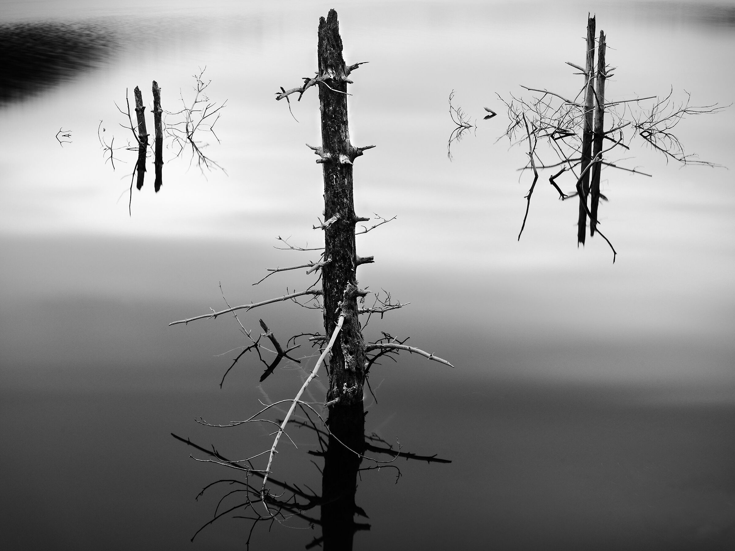 up out of the water.2