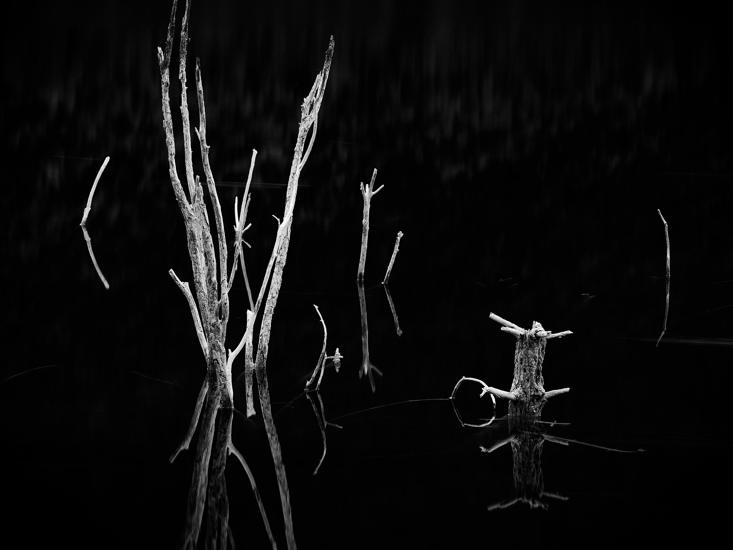 up out of the water.1