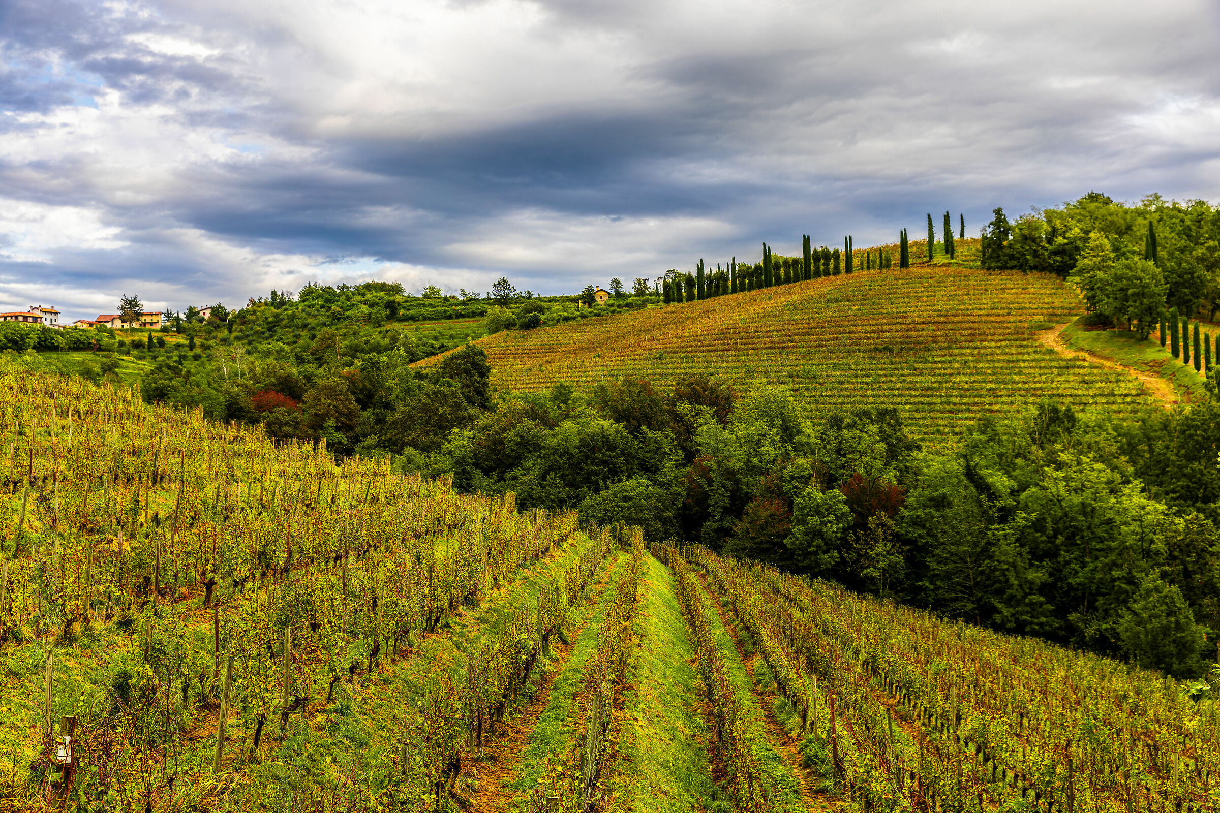 Nel cuore del Collio