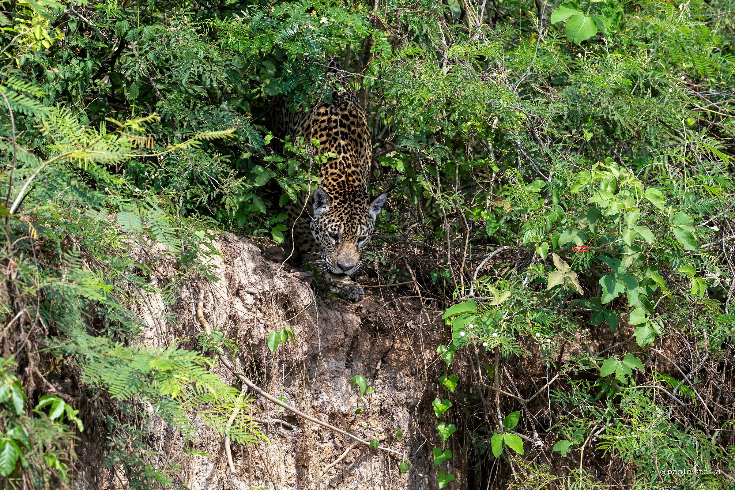 sulla sponda del fiume