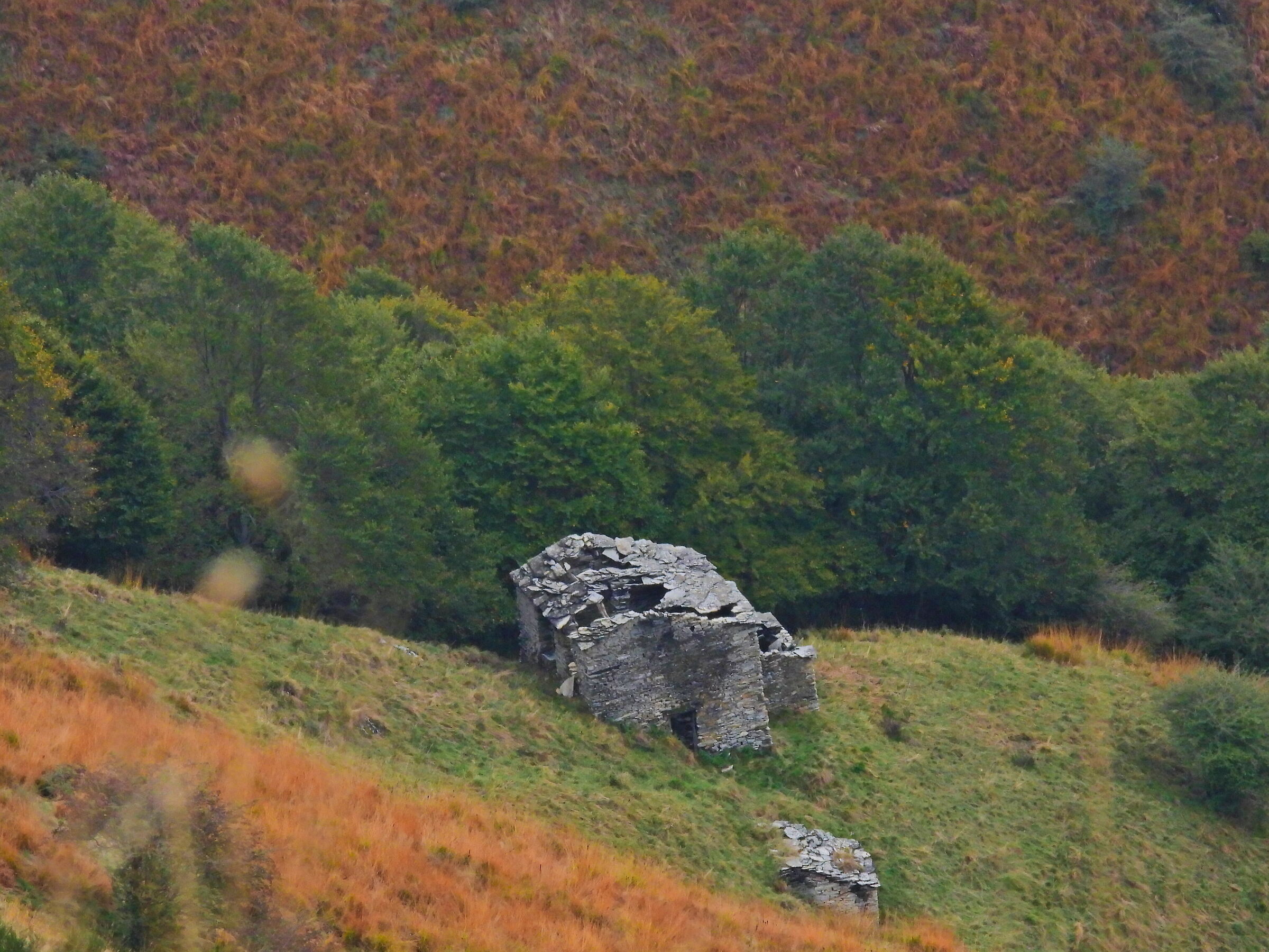 Ruined mountain pasture on Mount Generoso