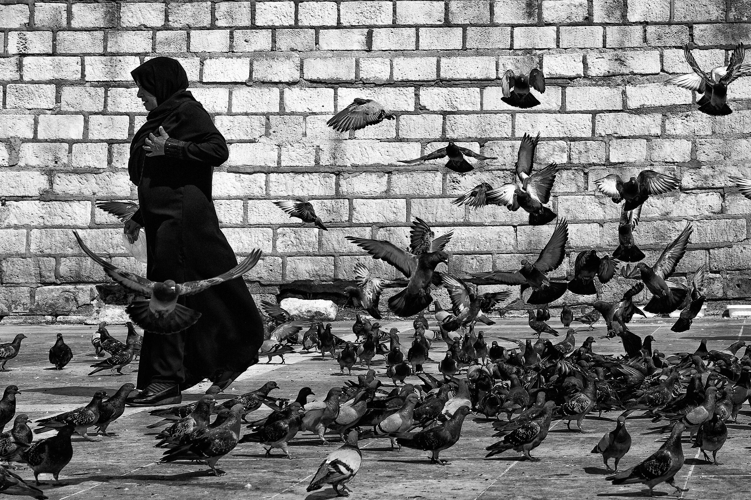 La donna dei piccioni